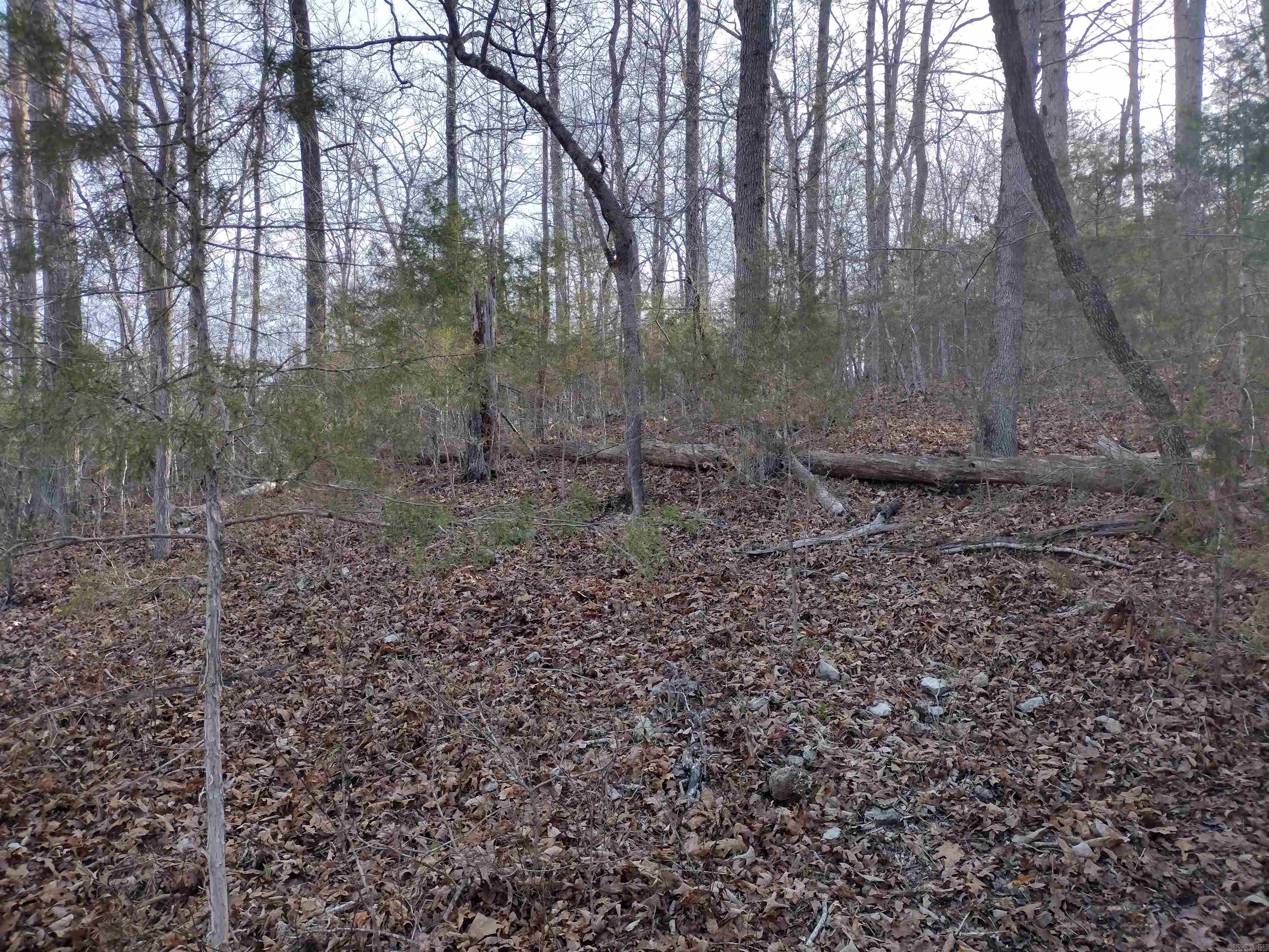 30121 Hwy 263 N Property Photo 43