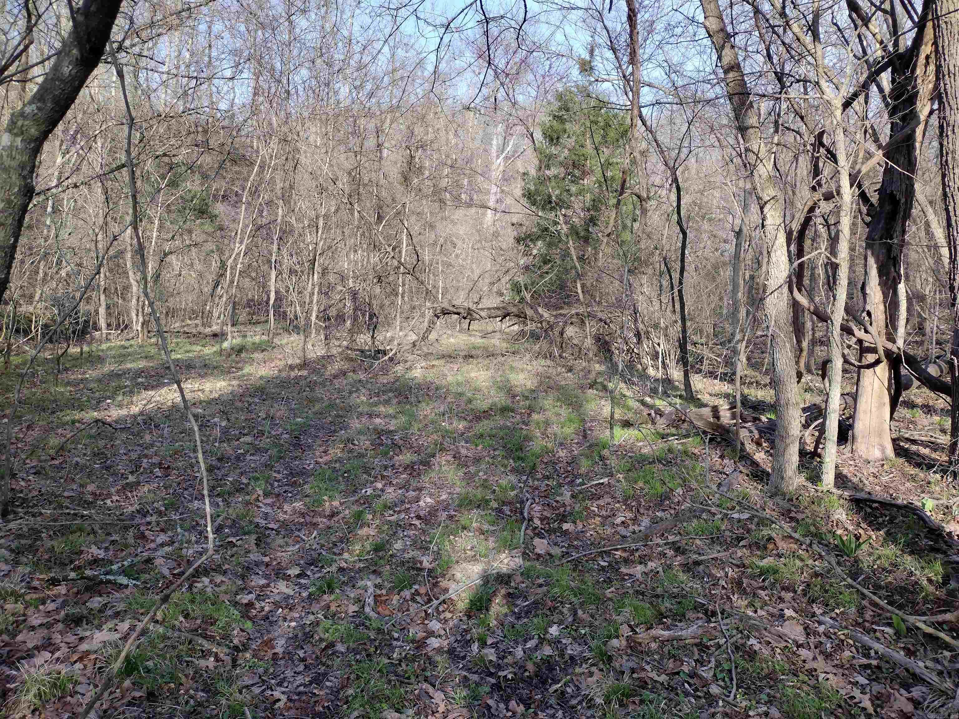 30121 Hwy 263 N Property Photo 44