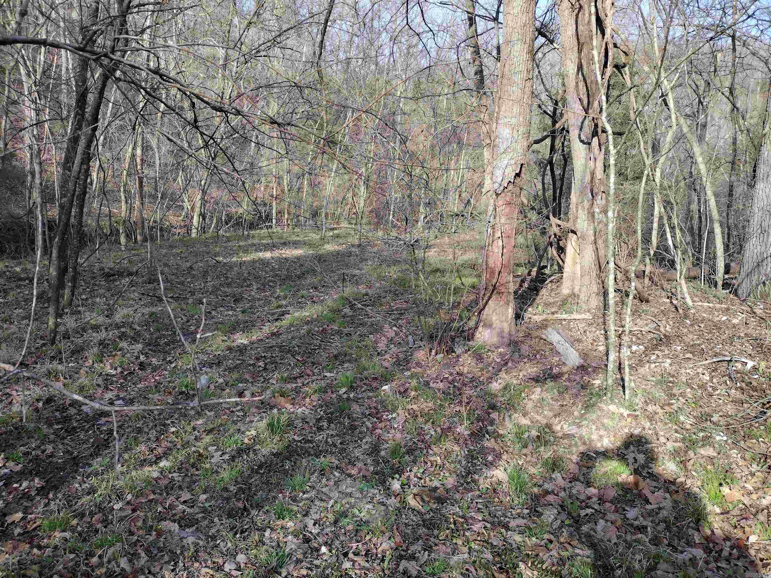 30121 Hwy 263 N Property Photo 45