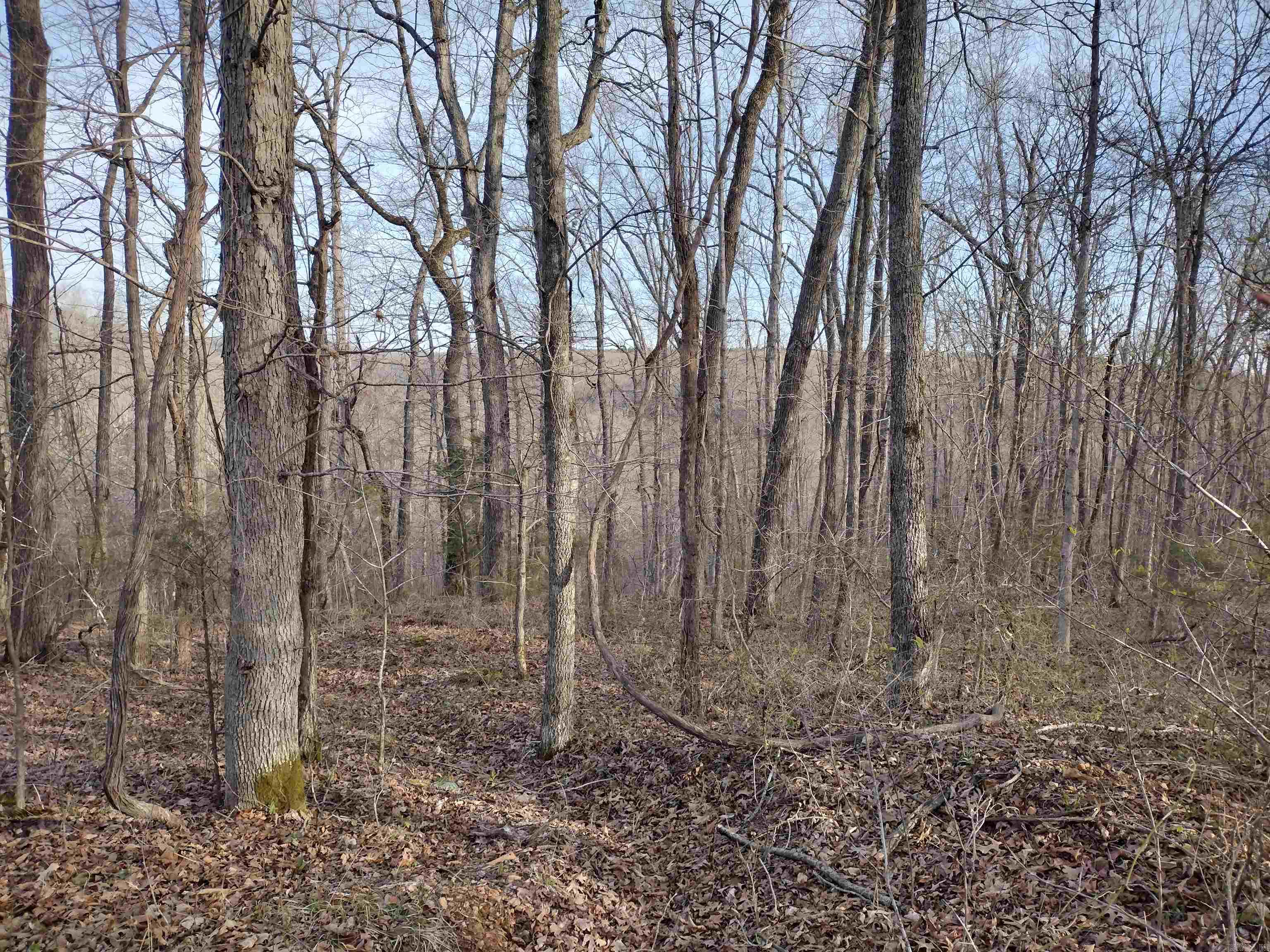 30121 Hwy 263 N Property Photo 46