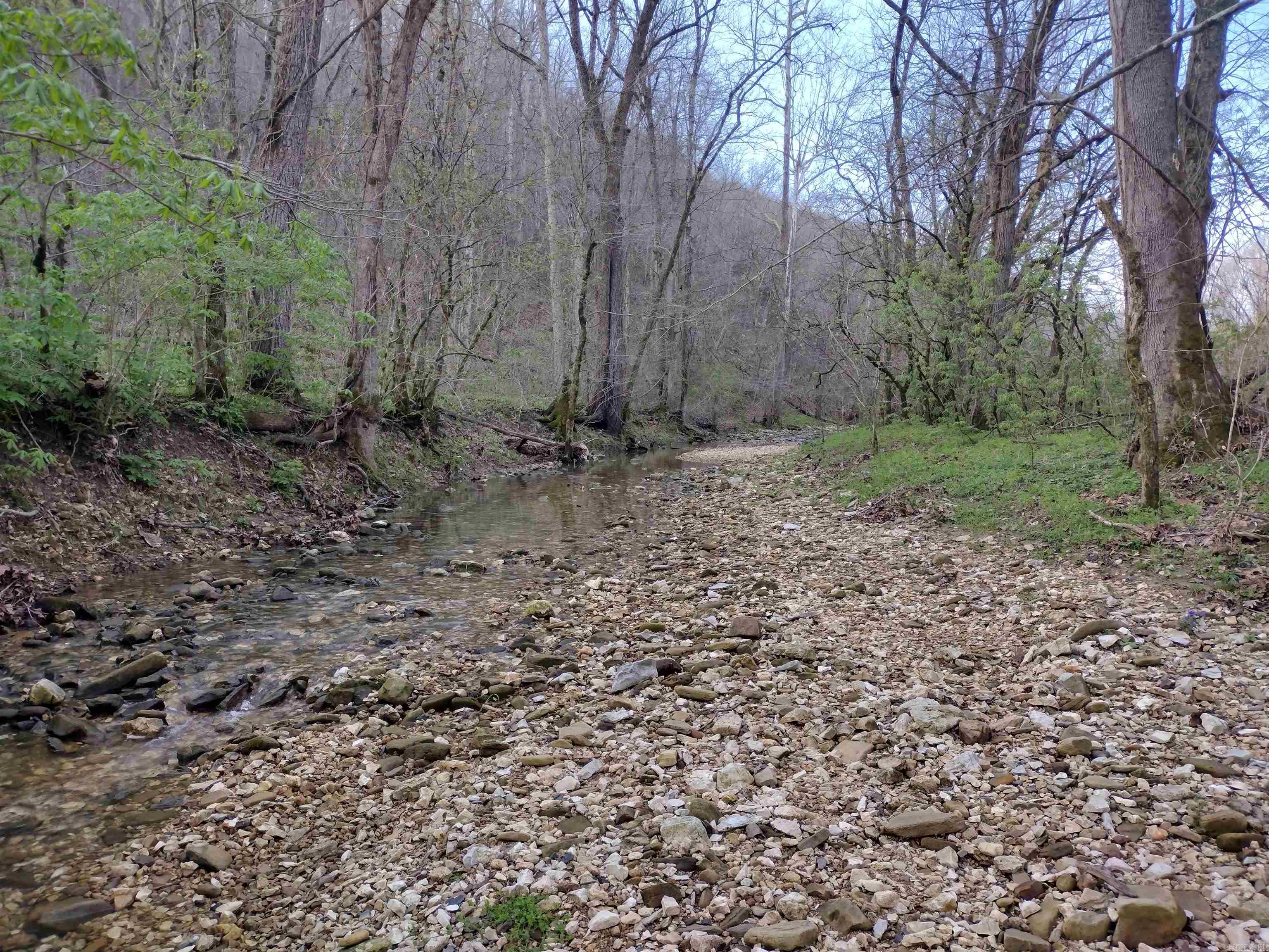 30121 Hwy 263 N Property Photo 48