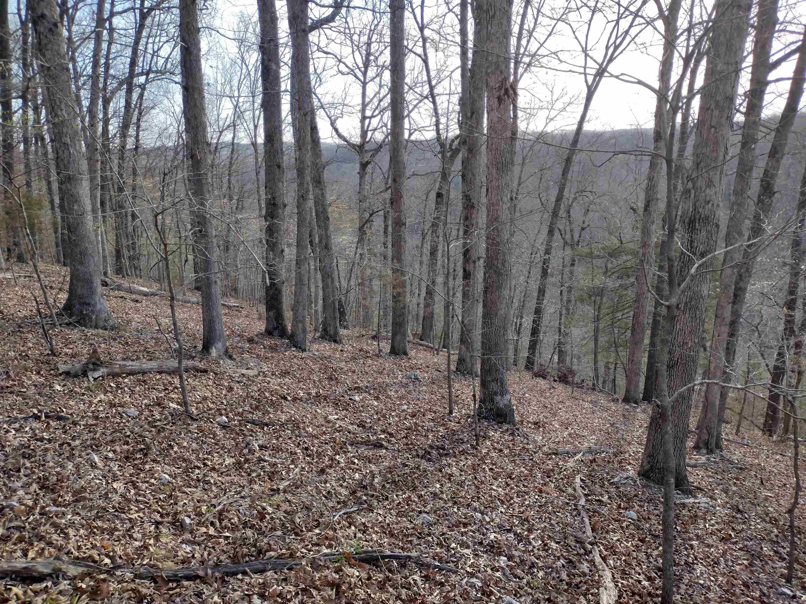 30121 Hwy 263 N Property Photo 49