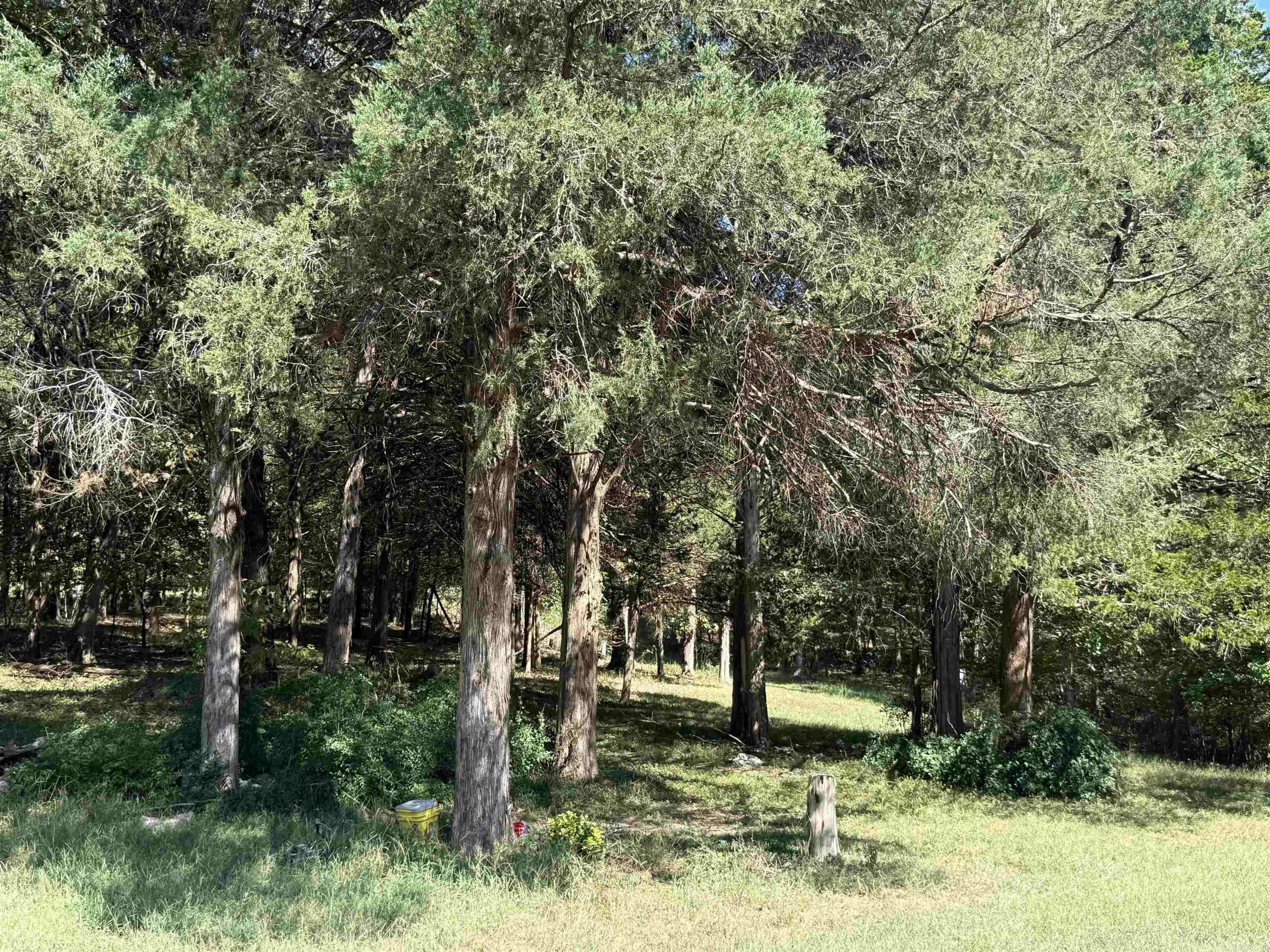 4900 Finch Property Photo 37