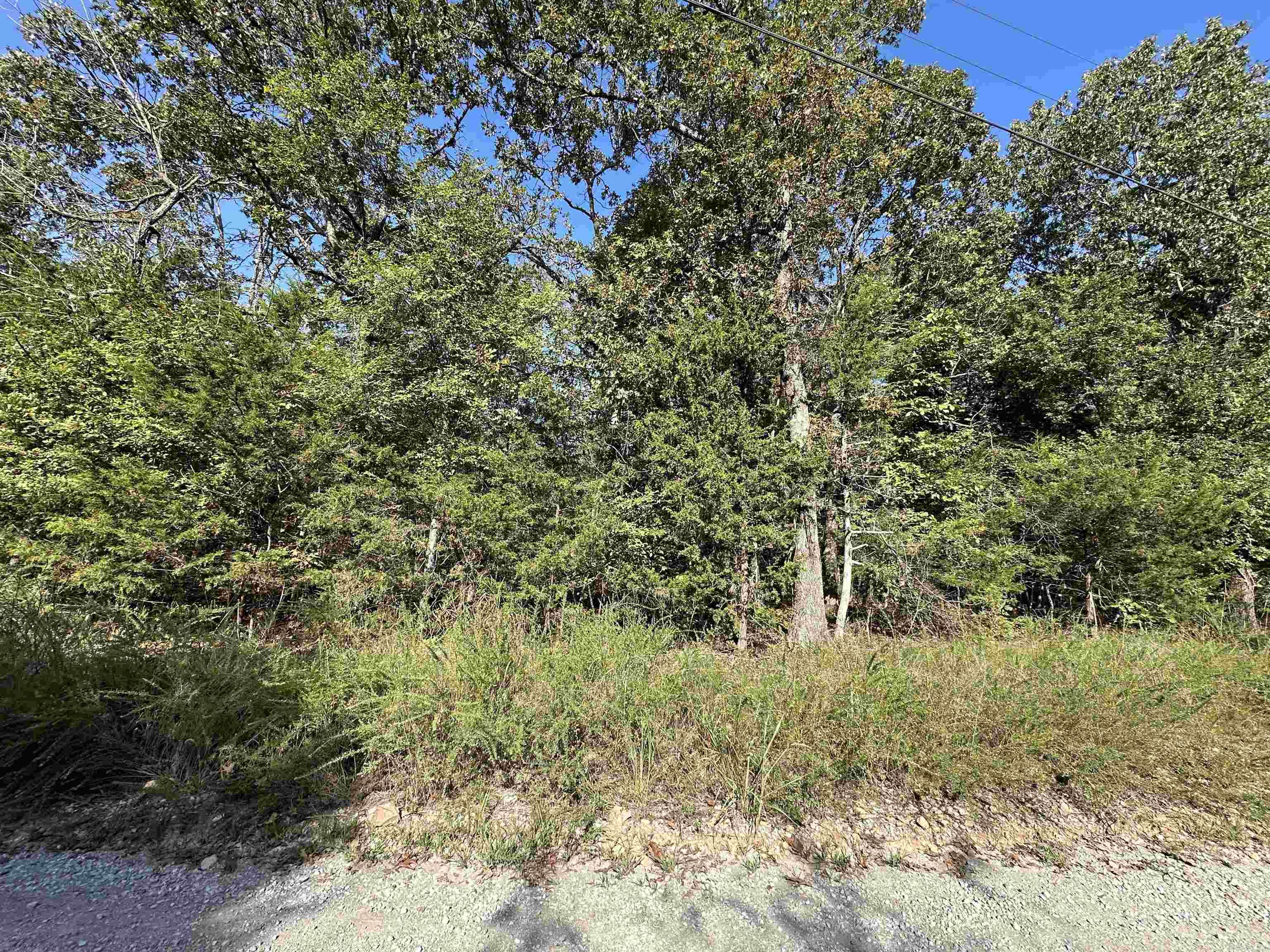 Lots 1 & 2 Round Mountain Drive Property Photo 3