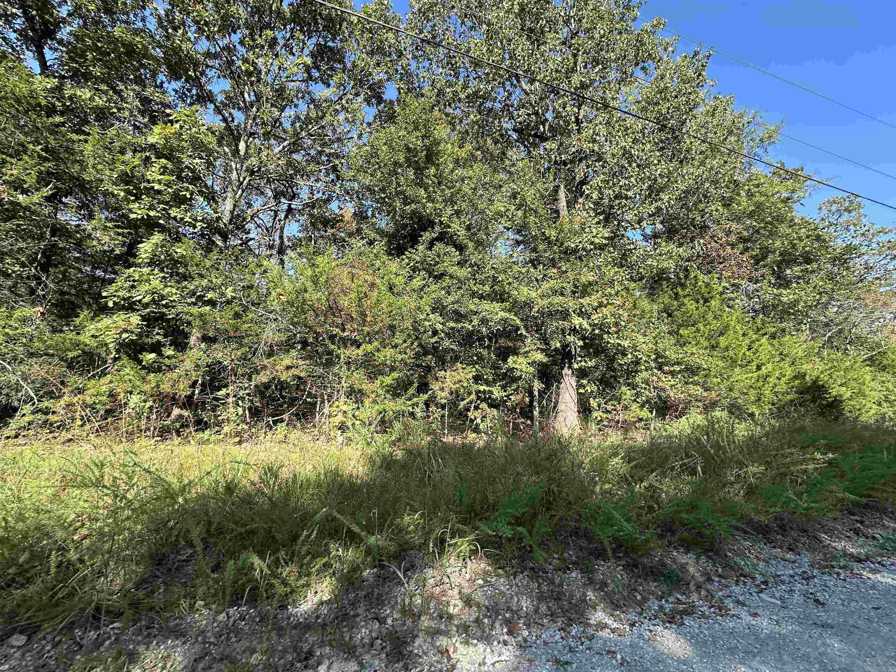 Lots 1 & 2 Round Mountain Drive Property Photo 4