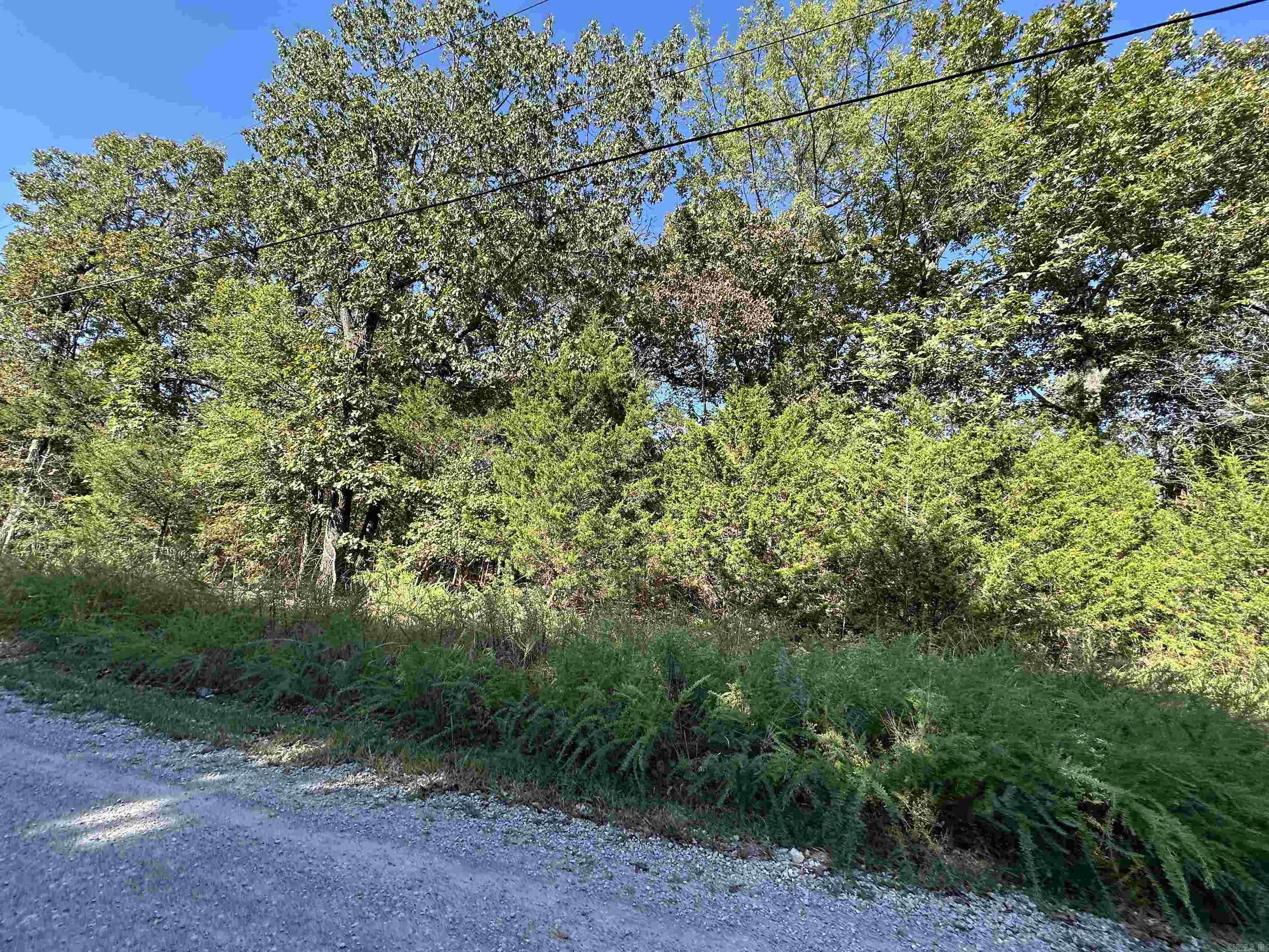 Lots 1 & 2 Round Mountain Drive Property Photo 5