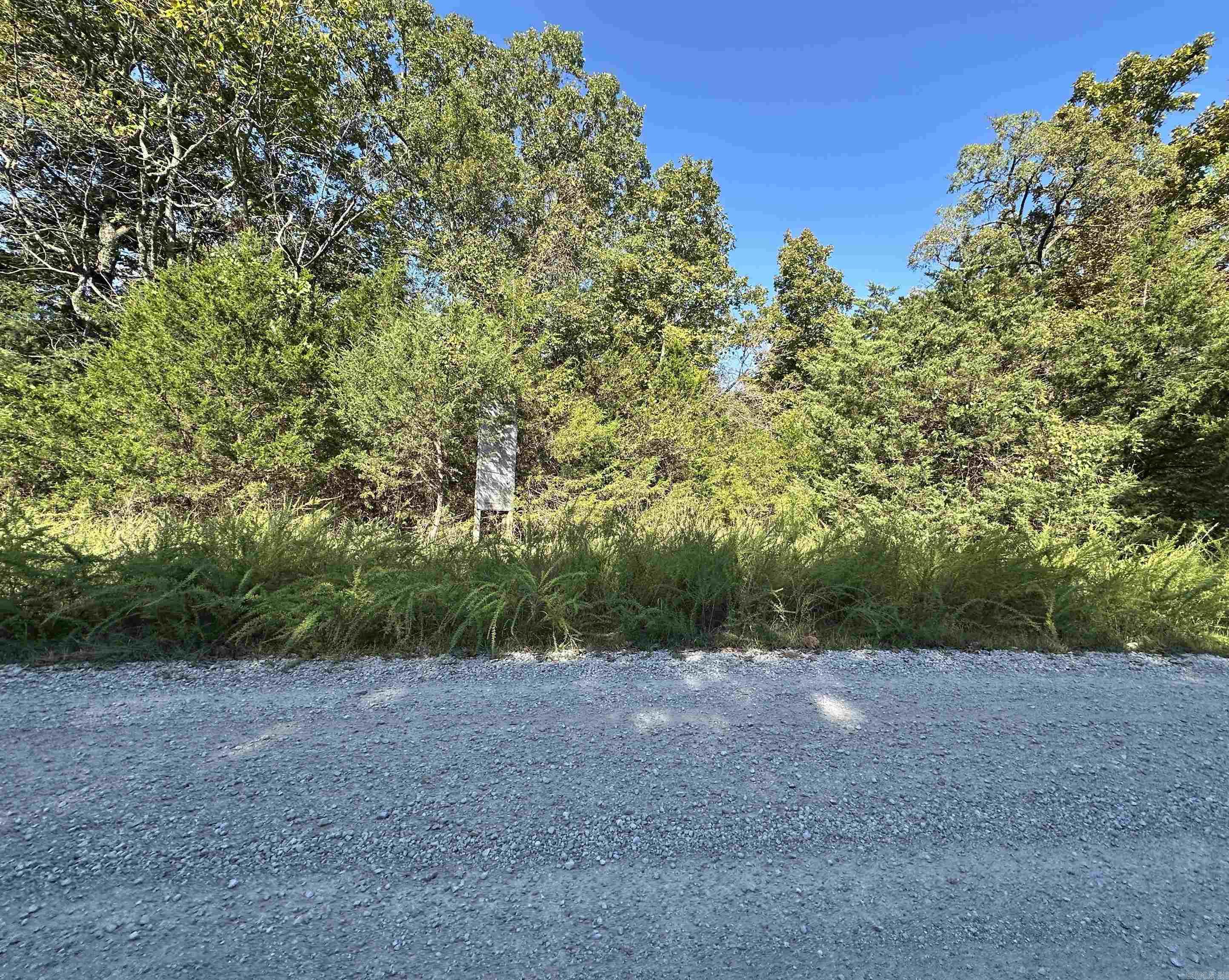 Lots 1 & 2 Round Mountain Drive Property Photo 7