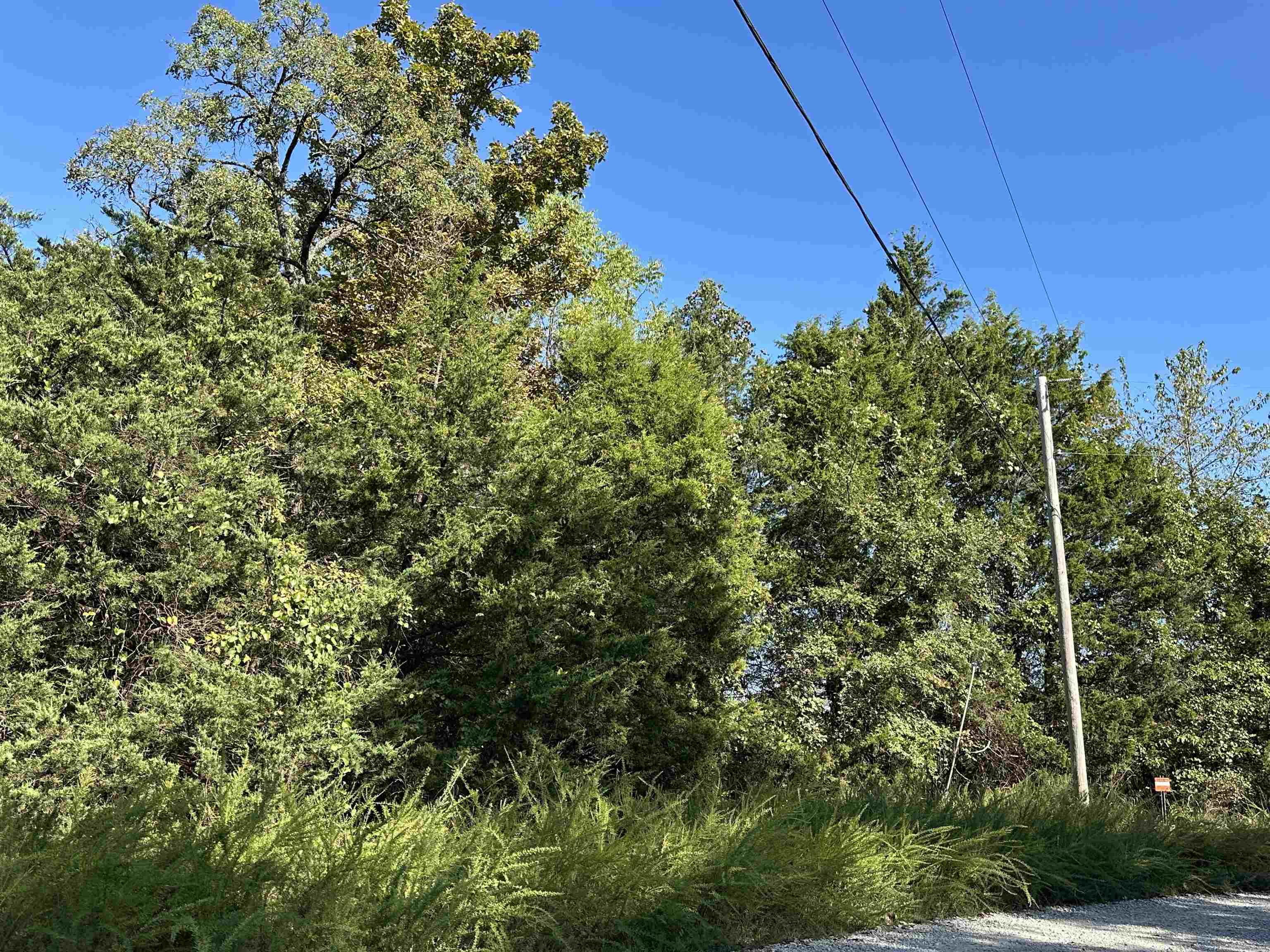 Lots 1 & 2 Round Mountain Drive Property Photo 8