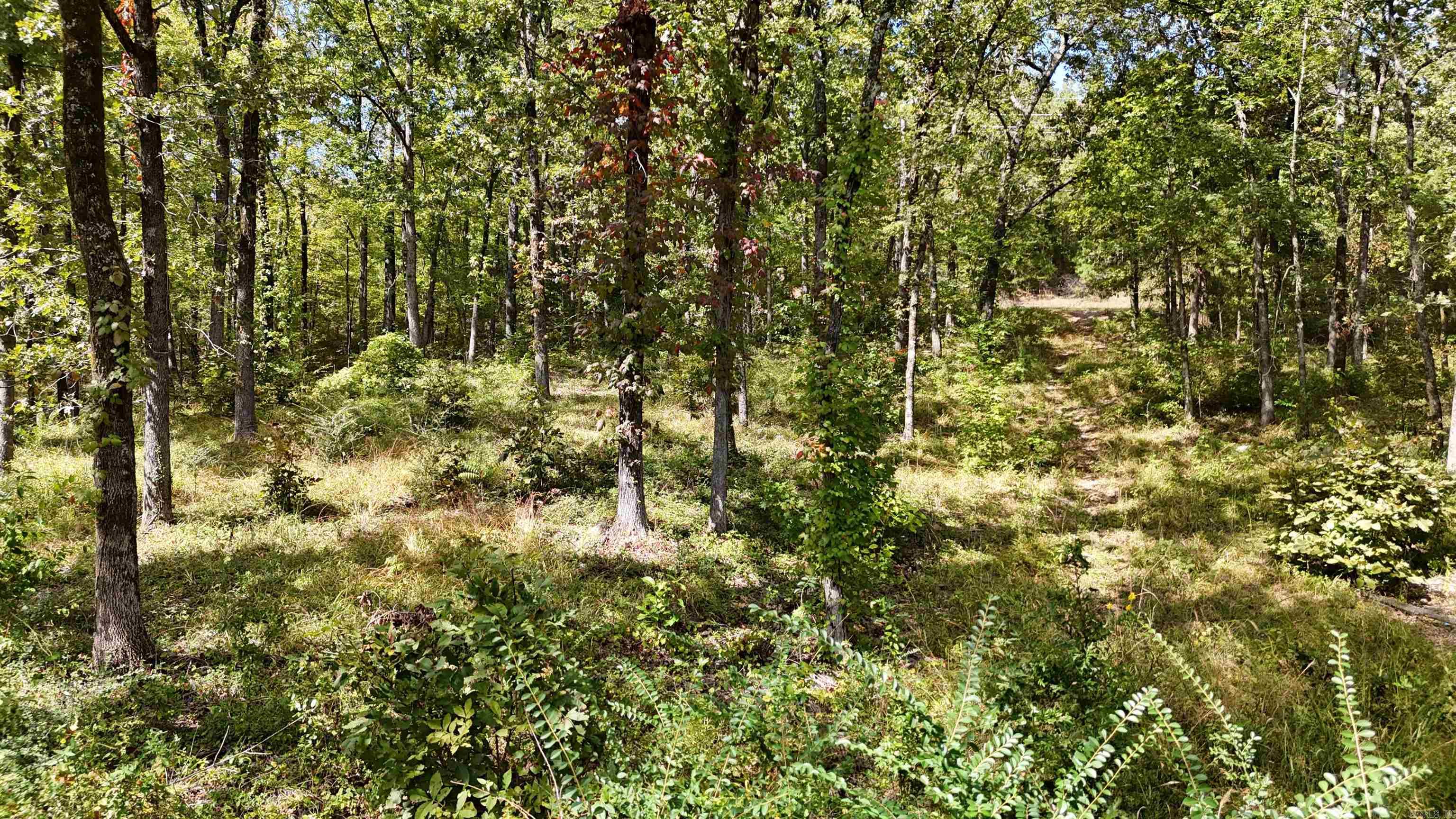 Tbd Janssen Property Photo 5