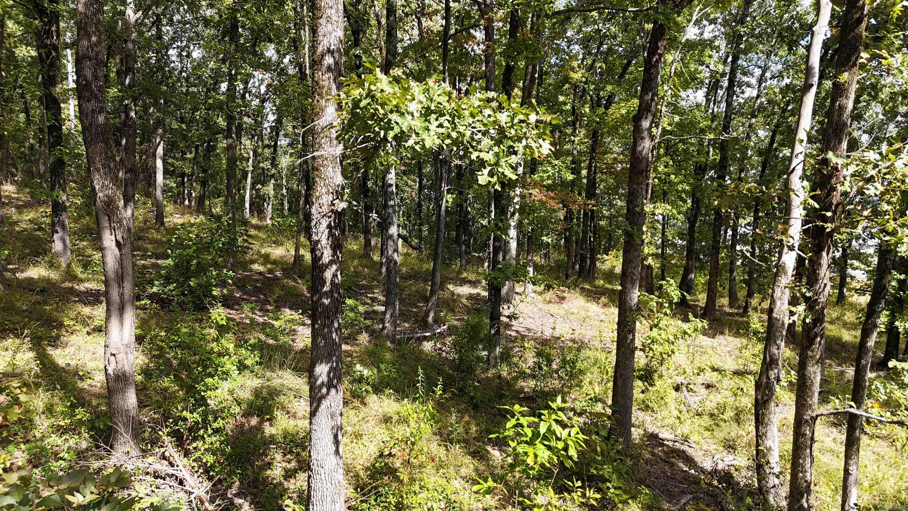 Tbd Janssen Property Photo 6