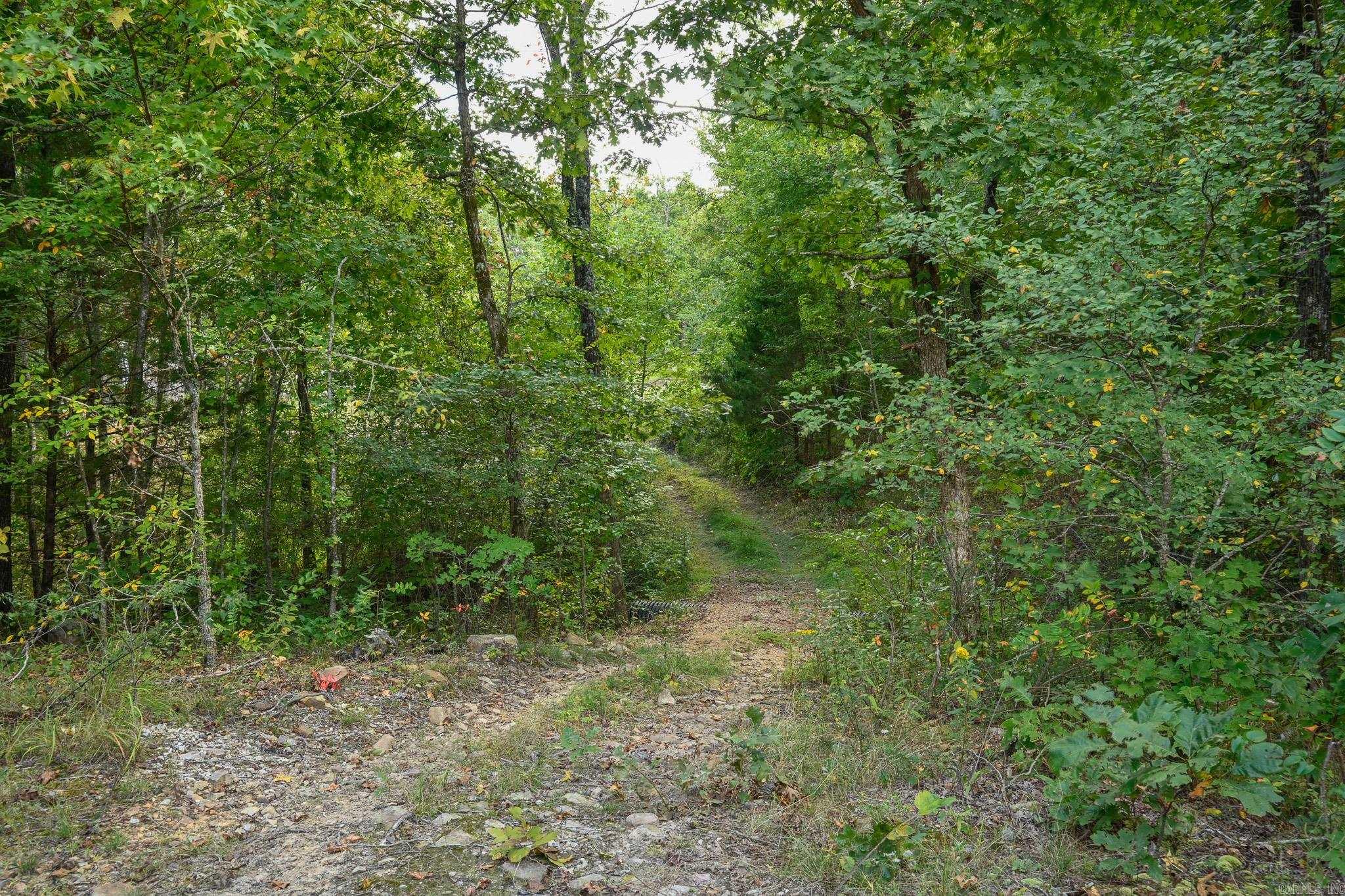 1449 Highway 270 Property Photo 42