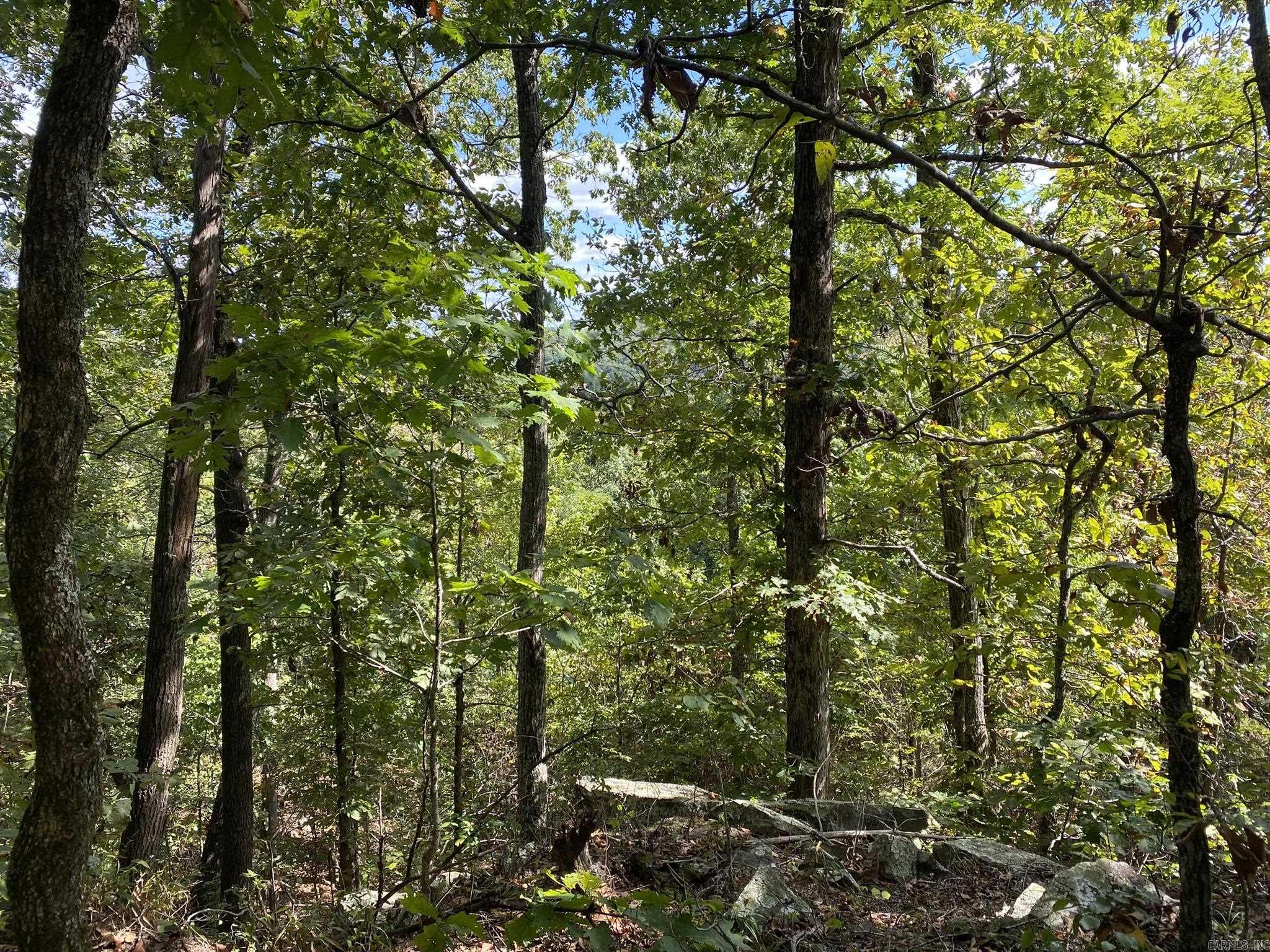Lot 11 Cooper Point Property Photo 1