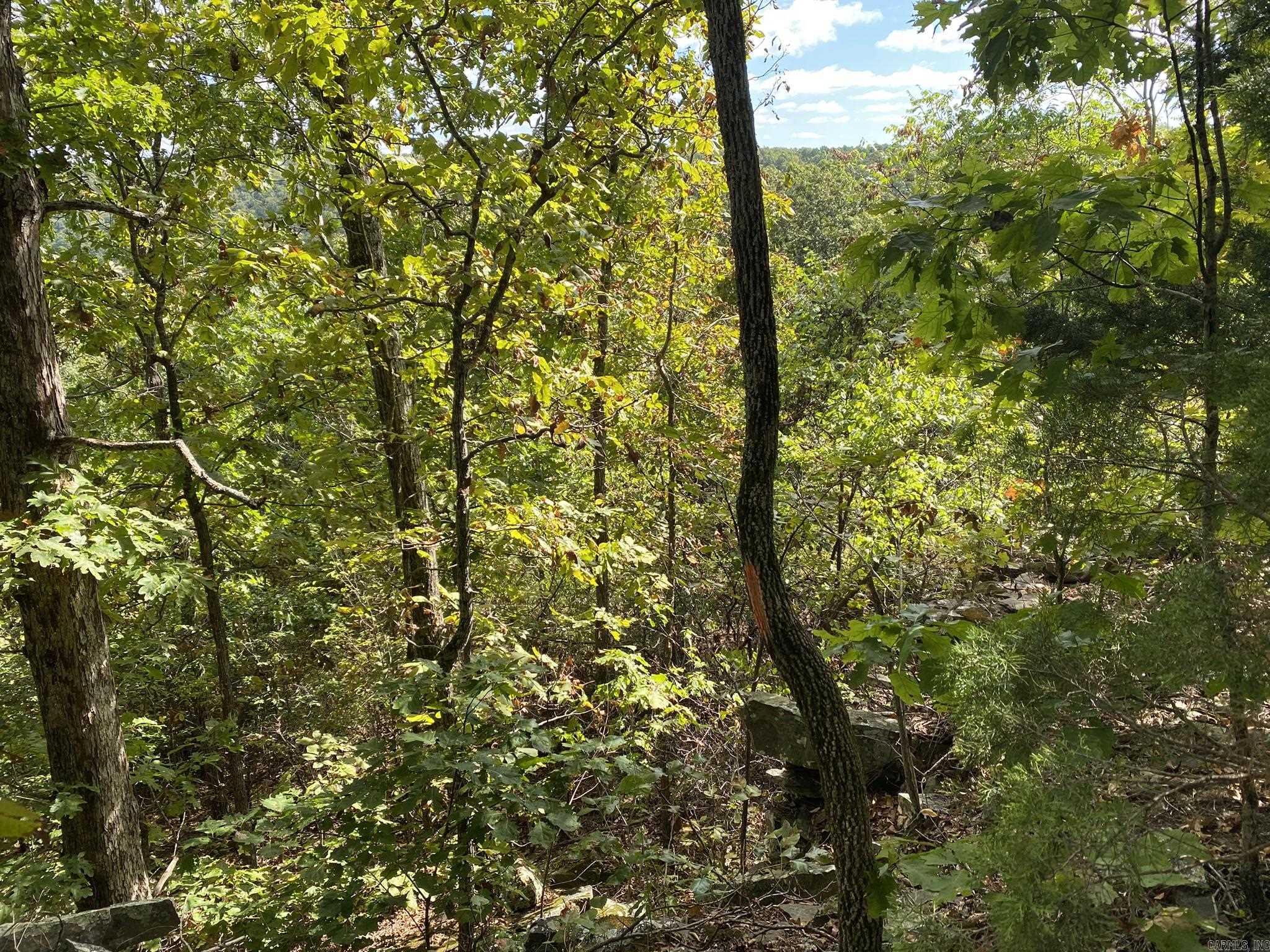 Lot 11 Cooper Point Property Photo 2