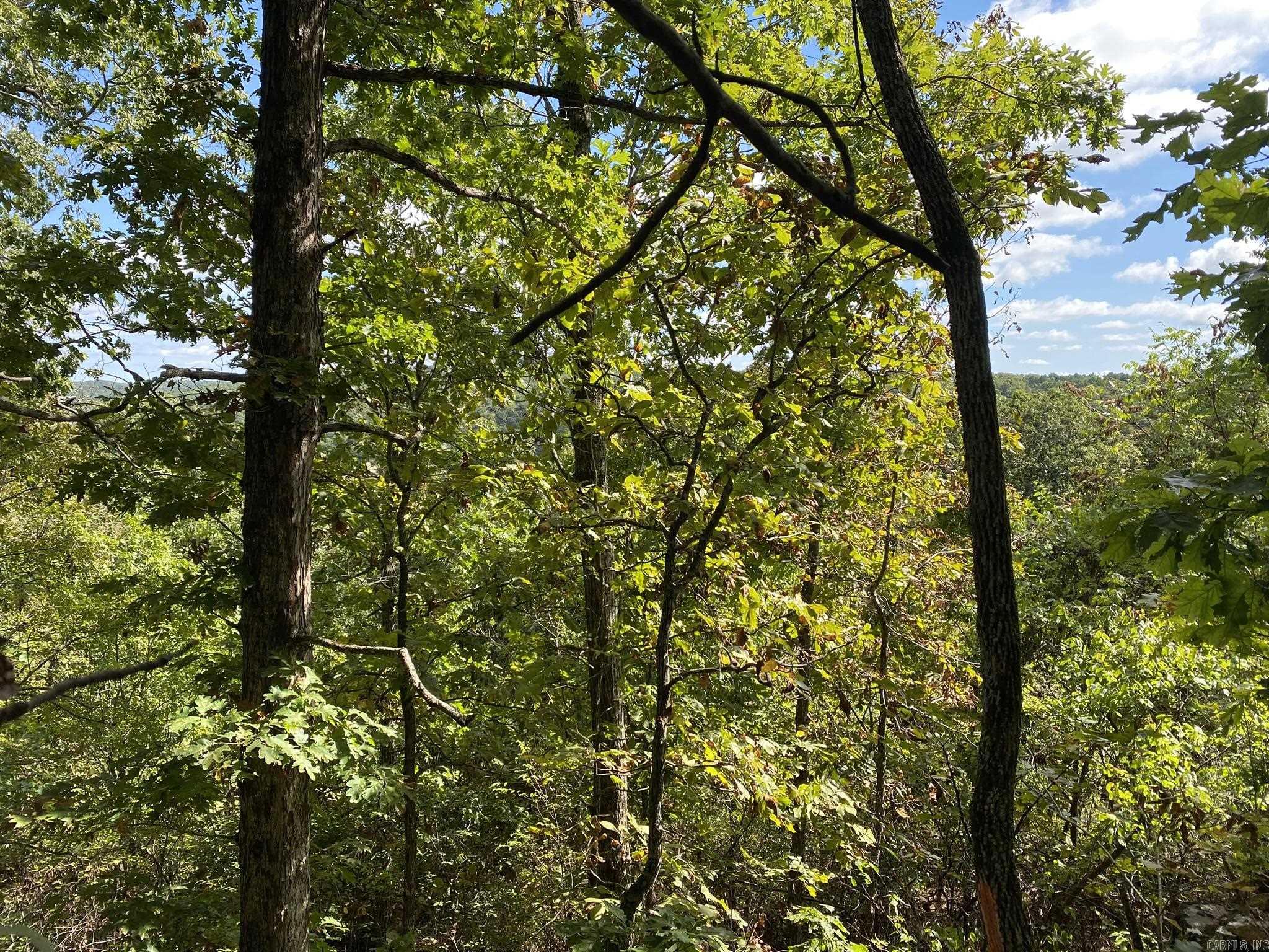 Lot 11 Cooper Point Property Photo 3