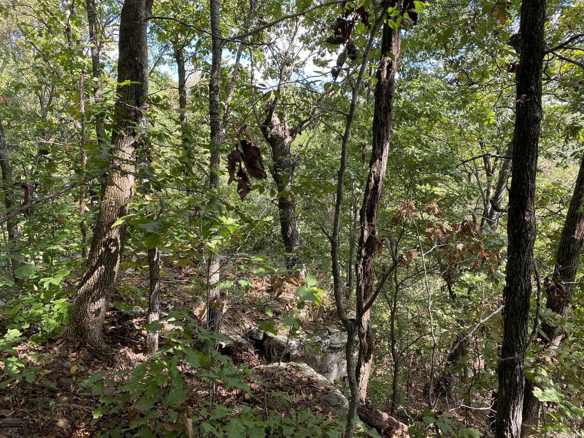 Lot 11 Cooper Point Property Photo 4