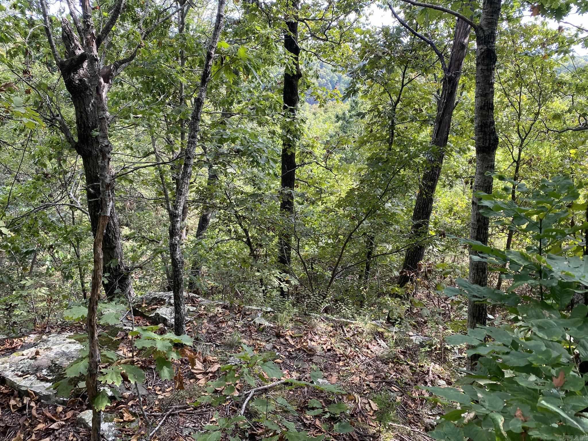 Lot 11 Cooper Point Property Photo 5