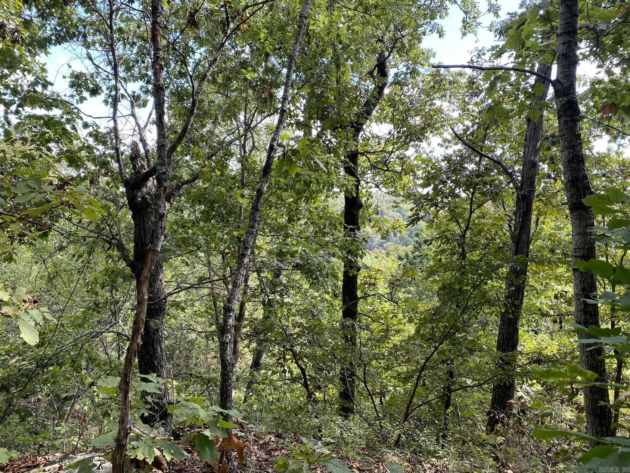 Lot 11 Cooper Point Property Photo 6