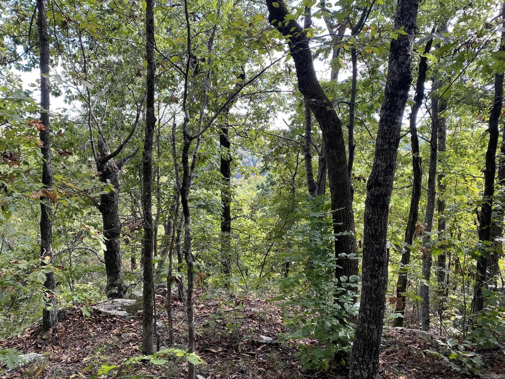 Lot 11 Cooper Point Property Photo 7