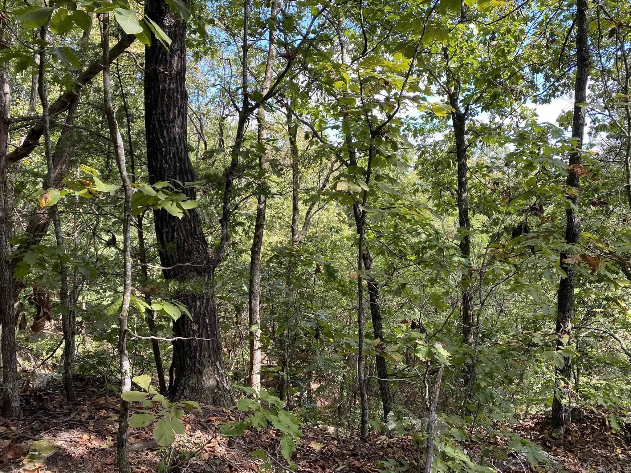 Lot 11 Cooper Point Property Photo 8
