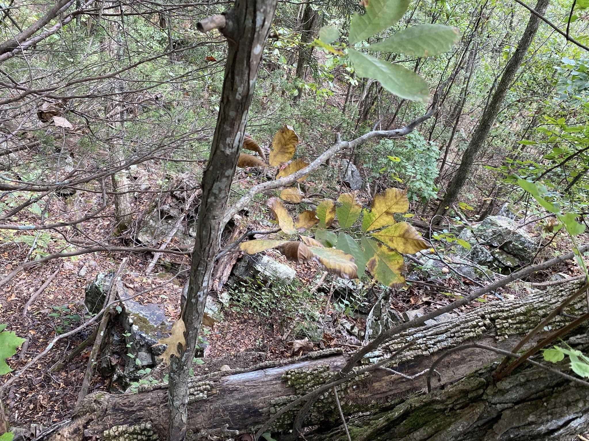 Lot 11 Cooper Point Property Photo 9