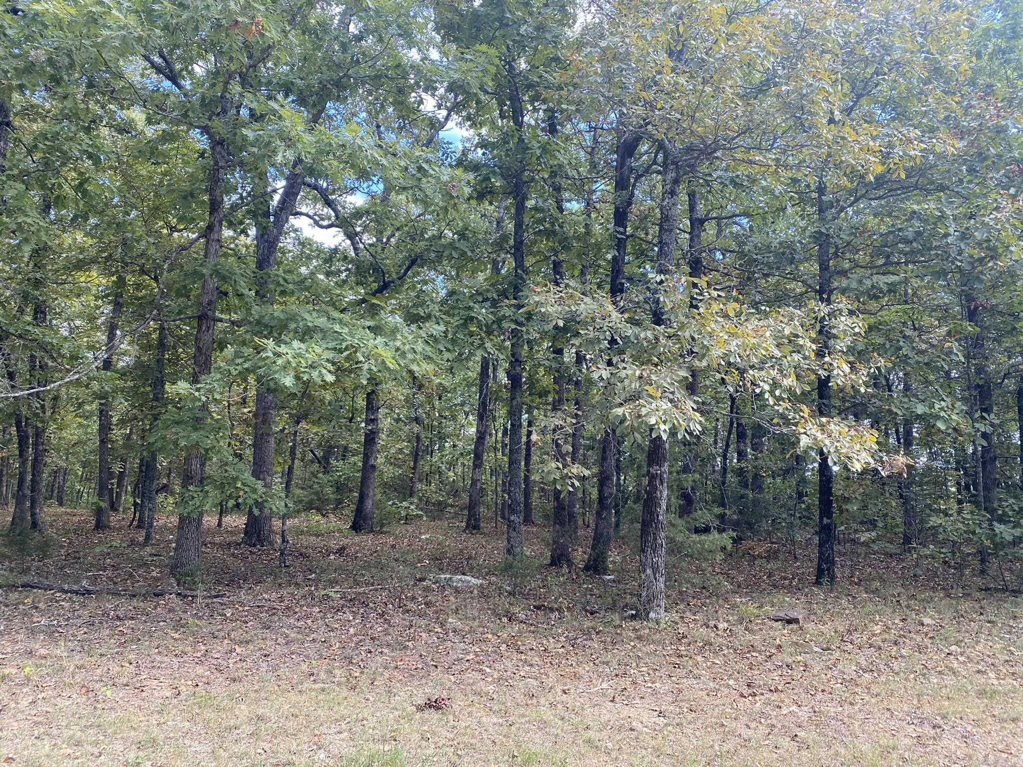 Lot 11 Cooper Point Property Photo 11
