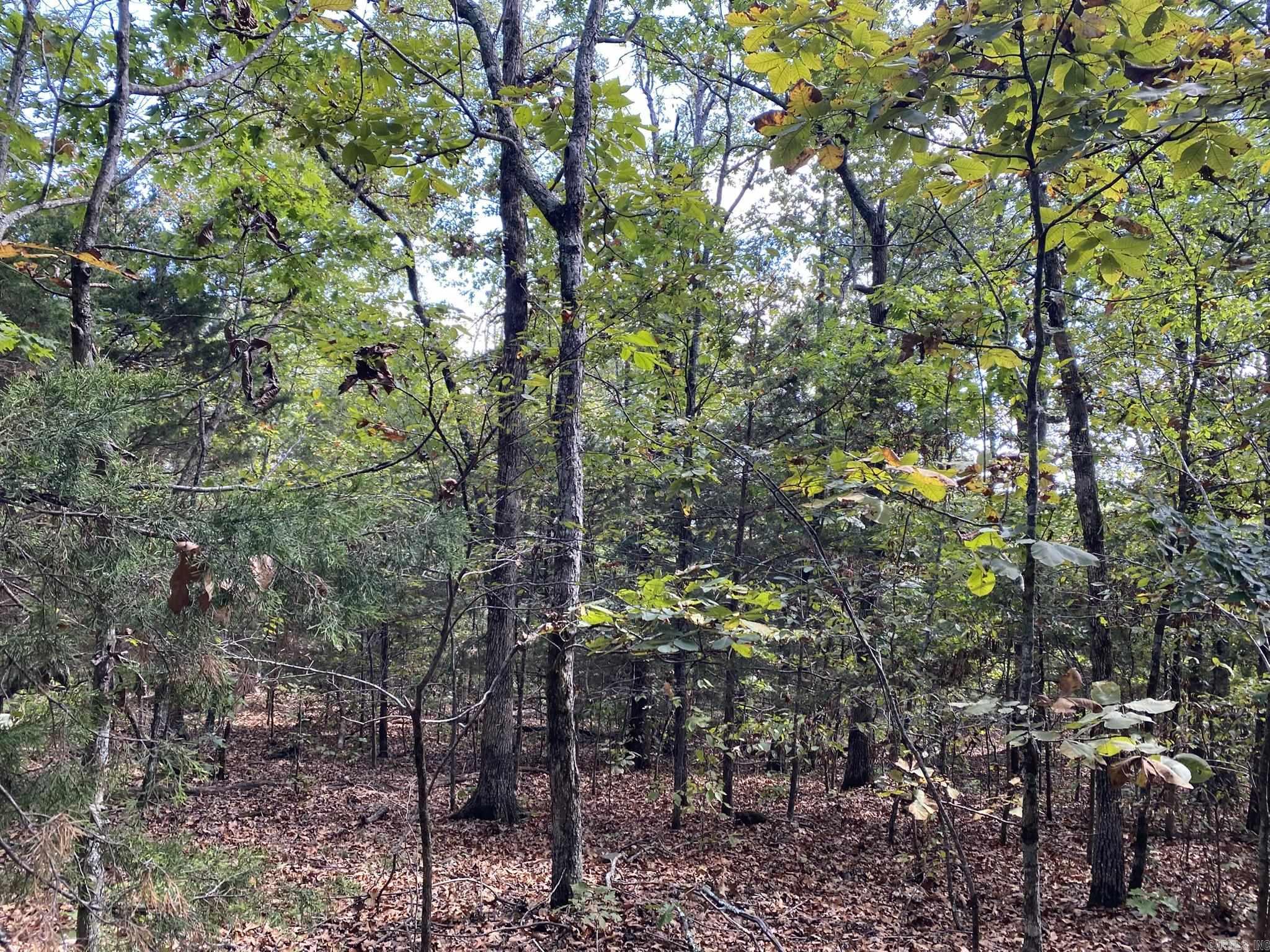 Lot 11 Cooper Point Property Photo 12