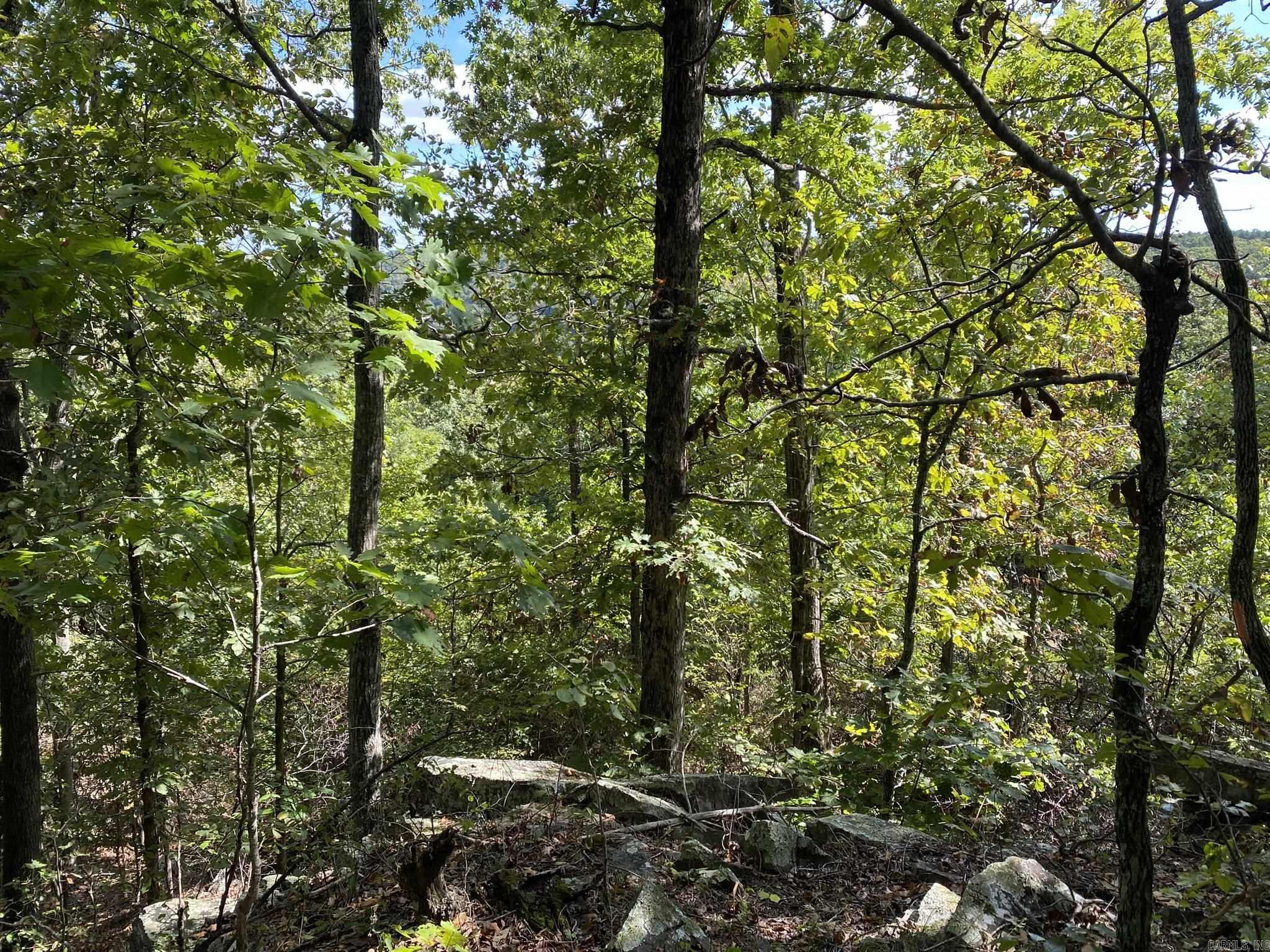 Lot 11 Cooper Point Property Photo 13