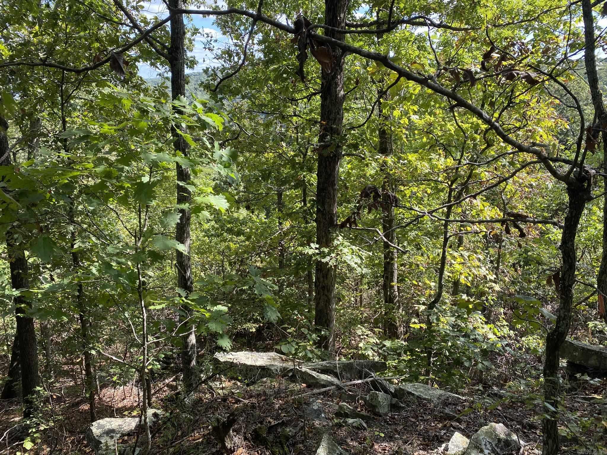 Lot 11 Cooper Point Property Photo 14