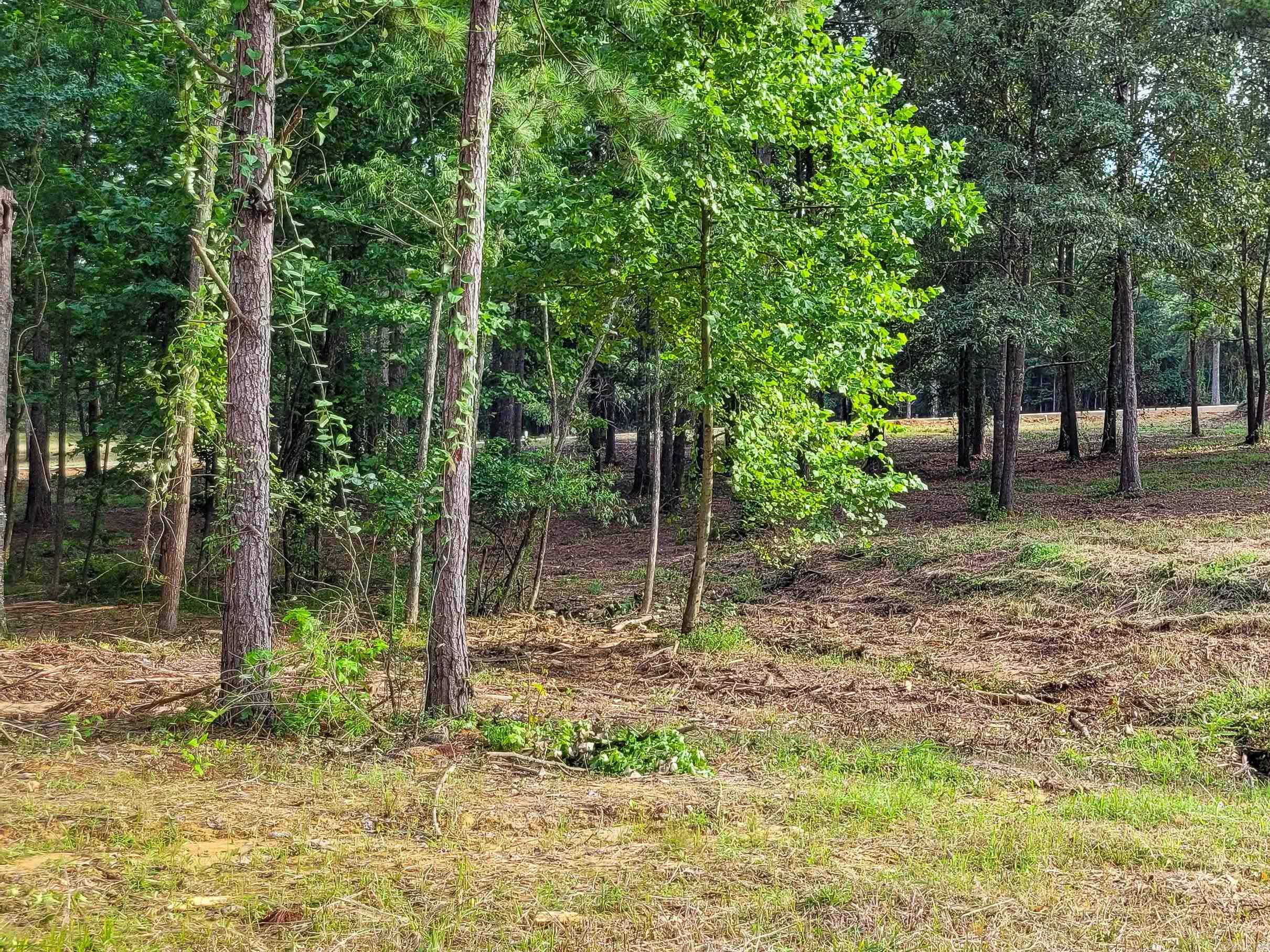 140 Leopard Drive Property Photo 13
