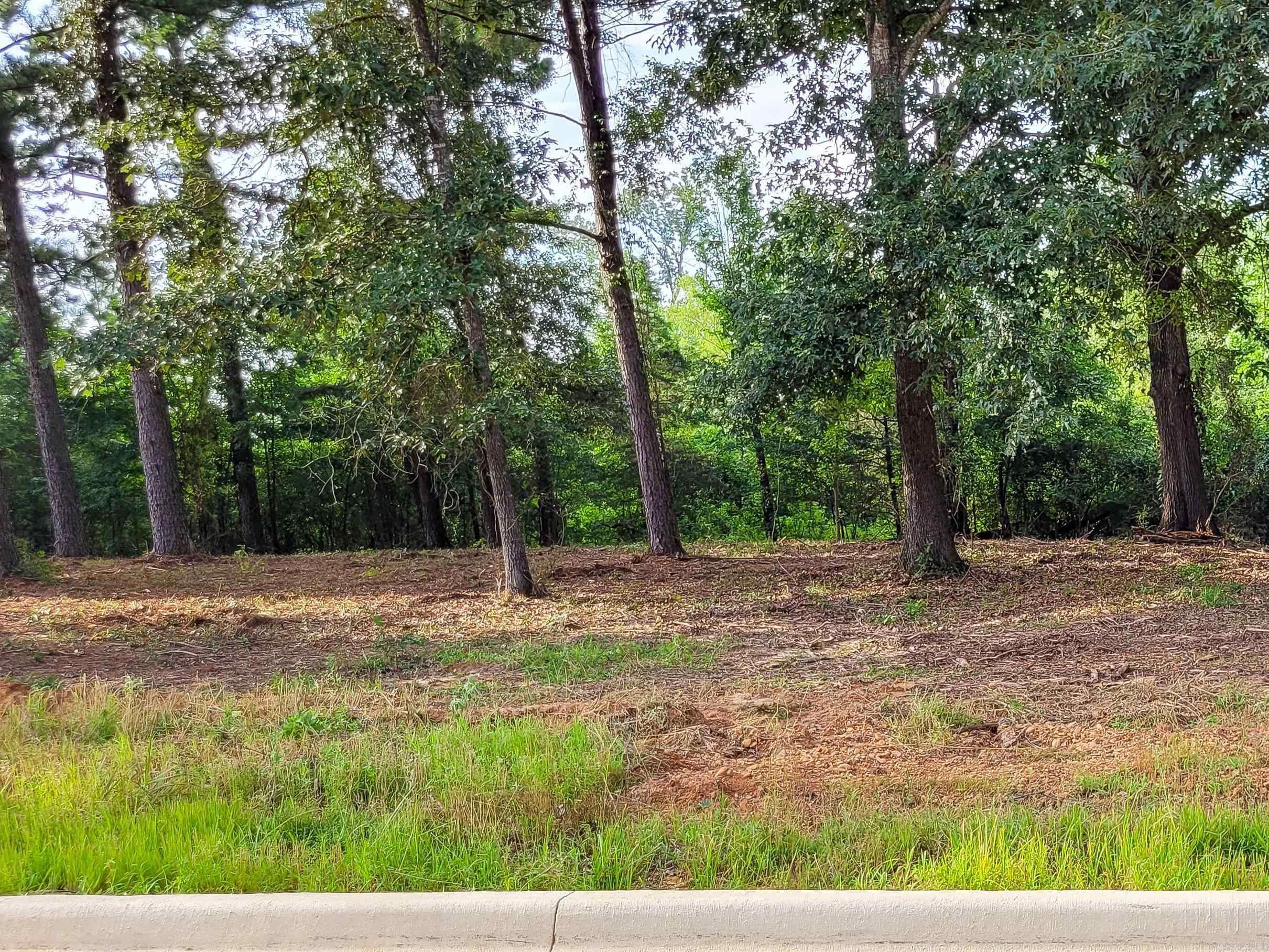 140 Leopard Drive Property Photo 17