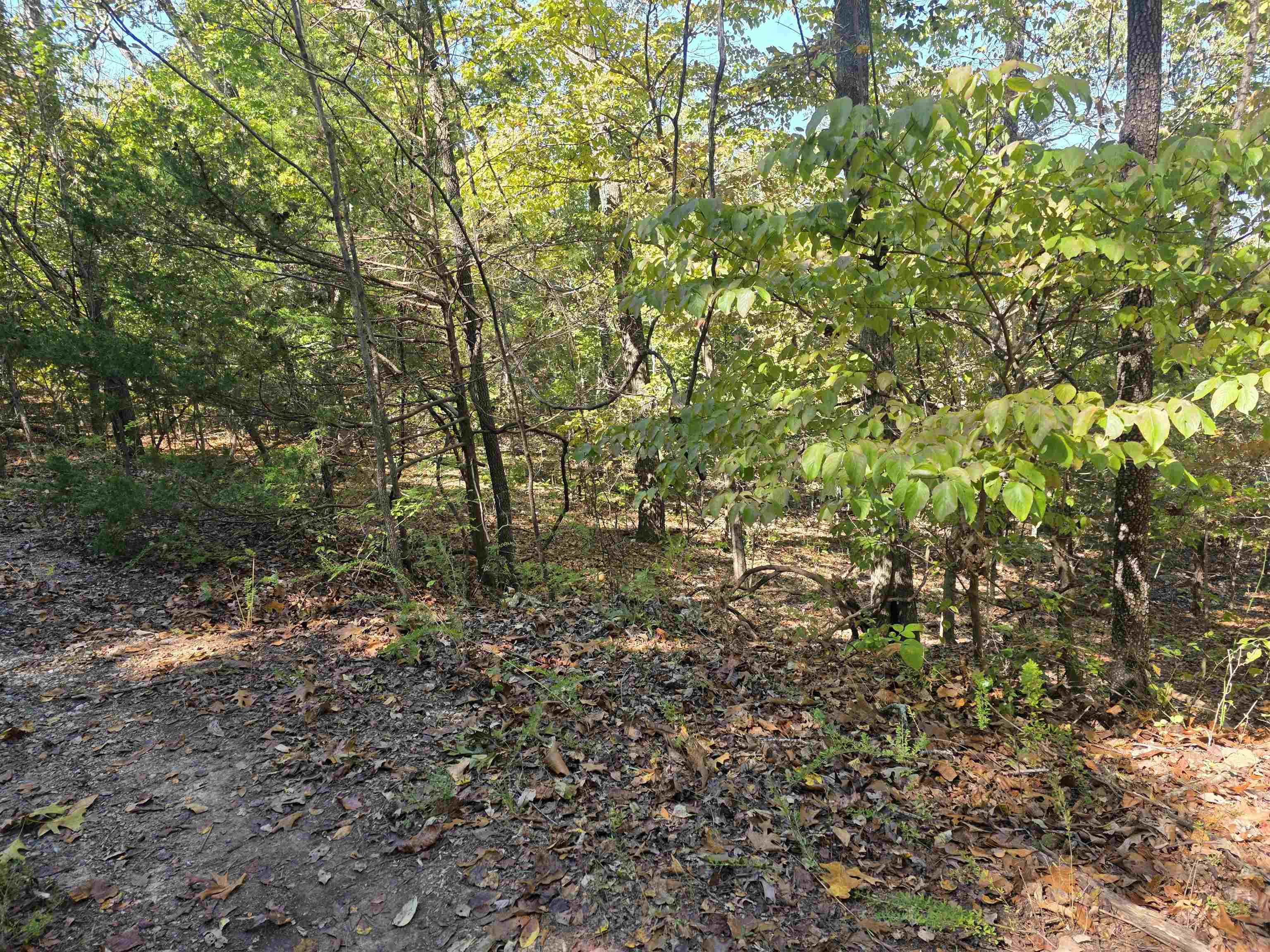 L10b4 Clatsop Circle Property Photo 2