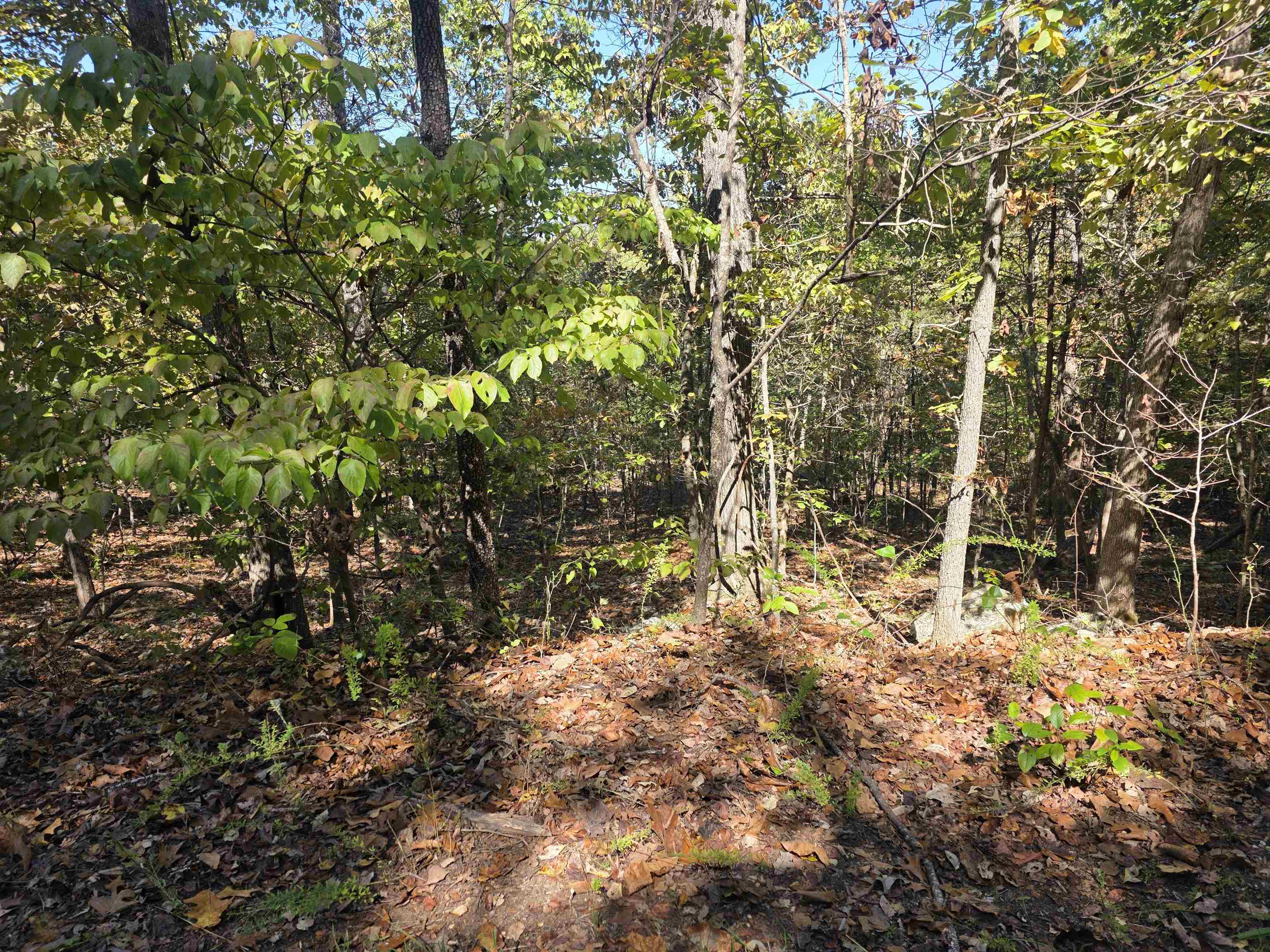 L10b4 Clatsop Circle Property Photo 3