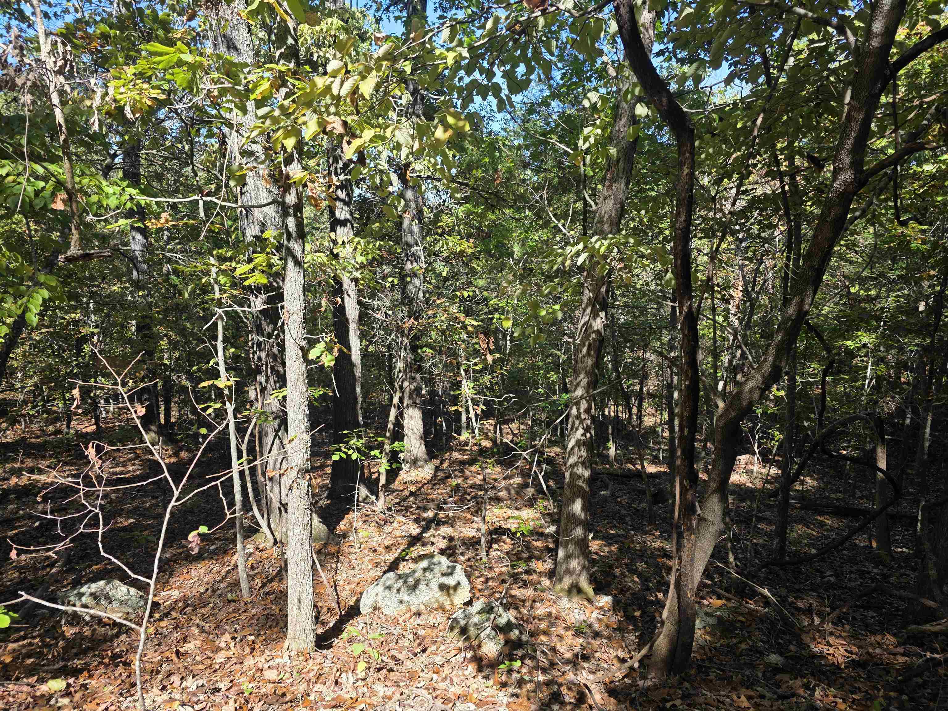 L10b4 Clatsop Circle Property Photo 4