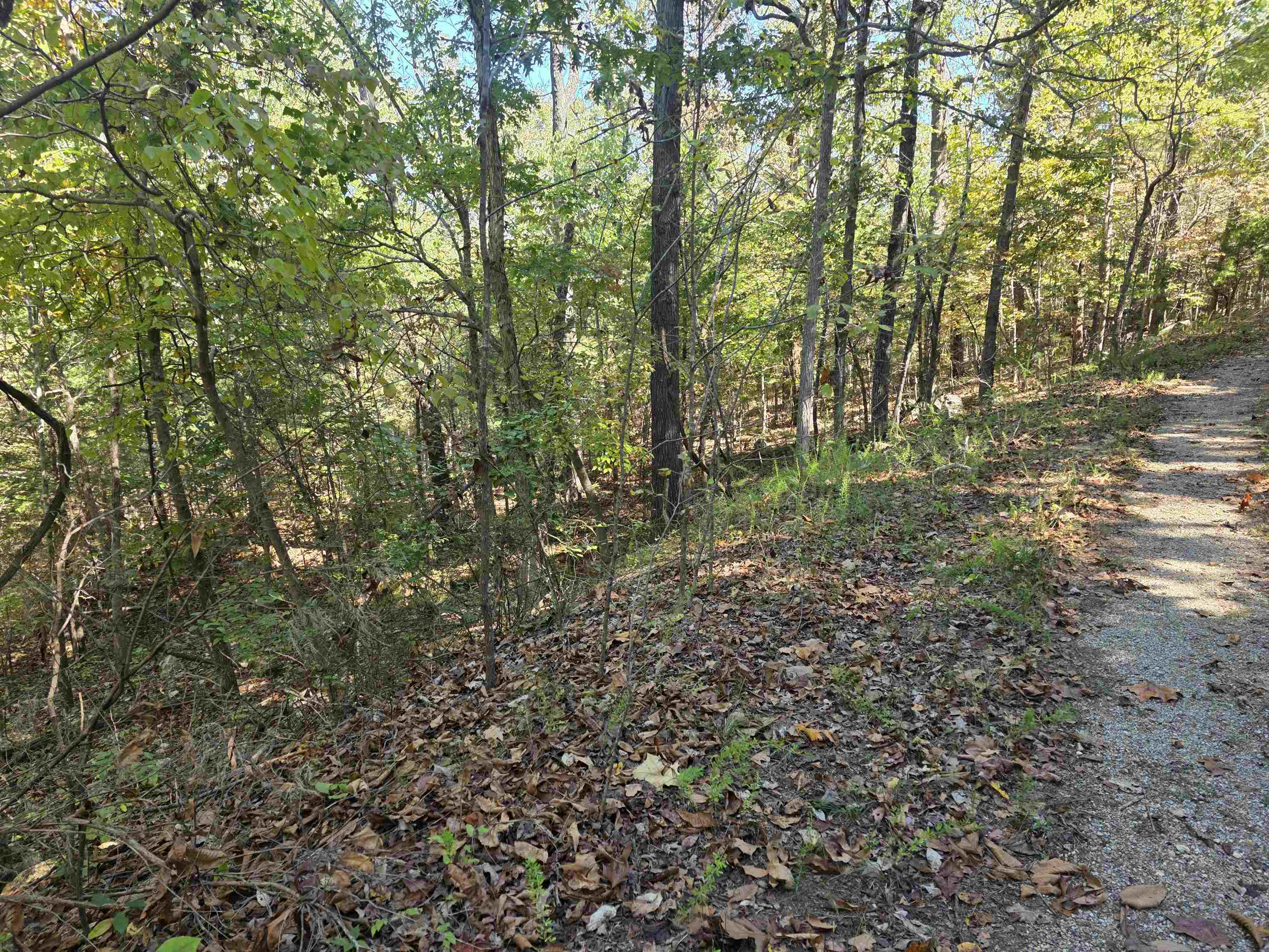 L10b4 Clatsop Circle Property Photo 7