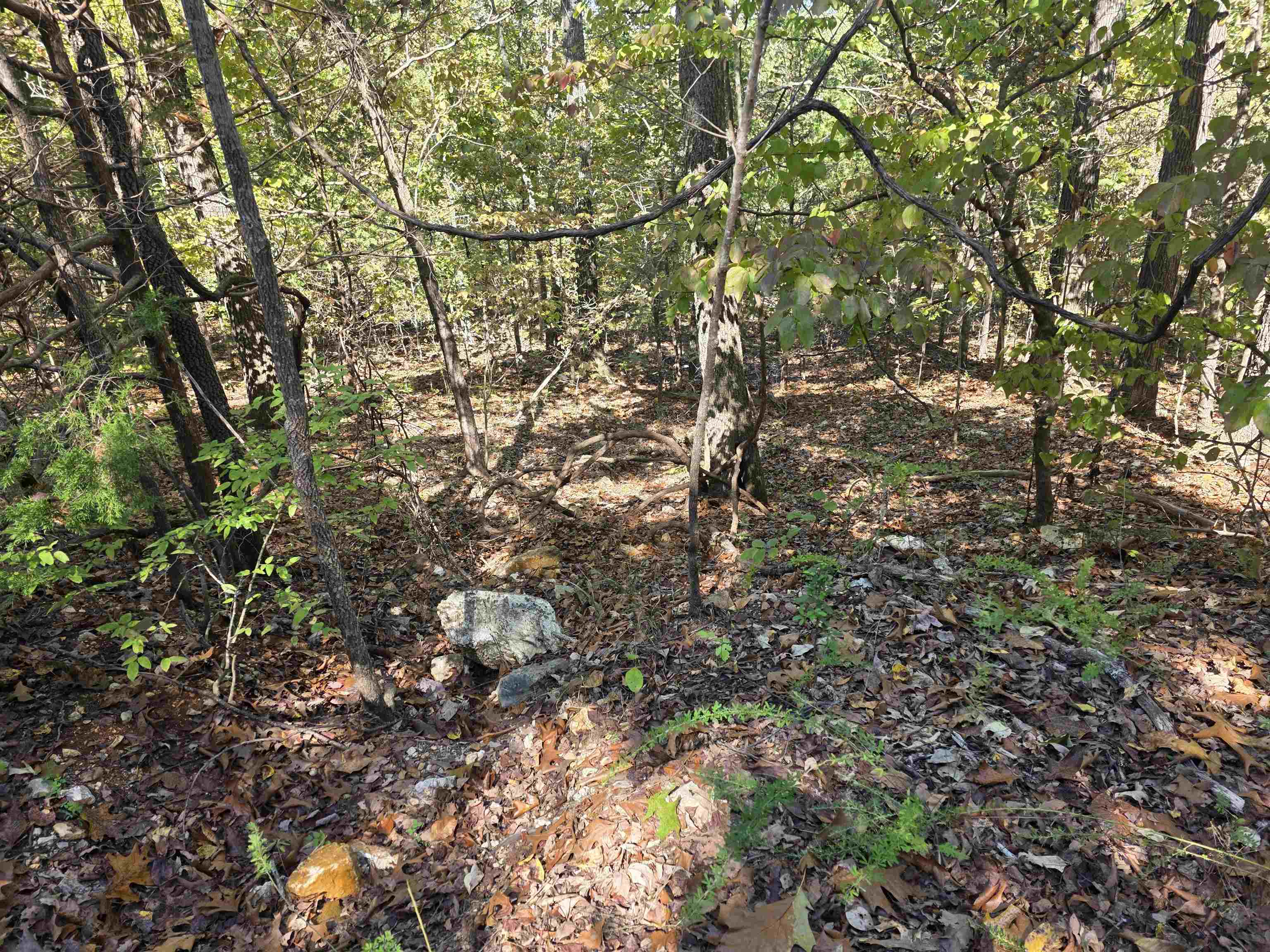 L10b4 Clatsop Circle Property Photo 11
