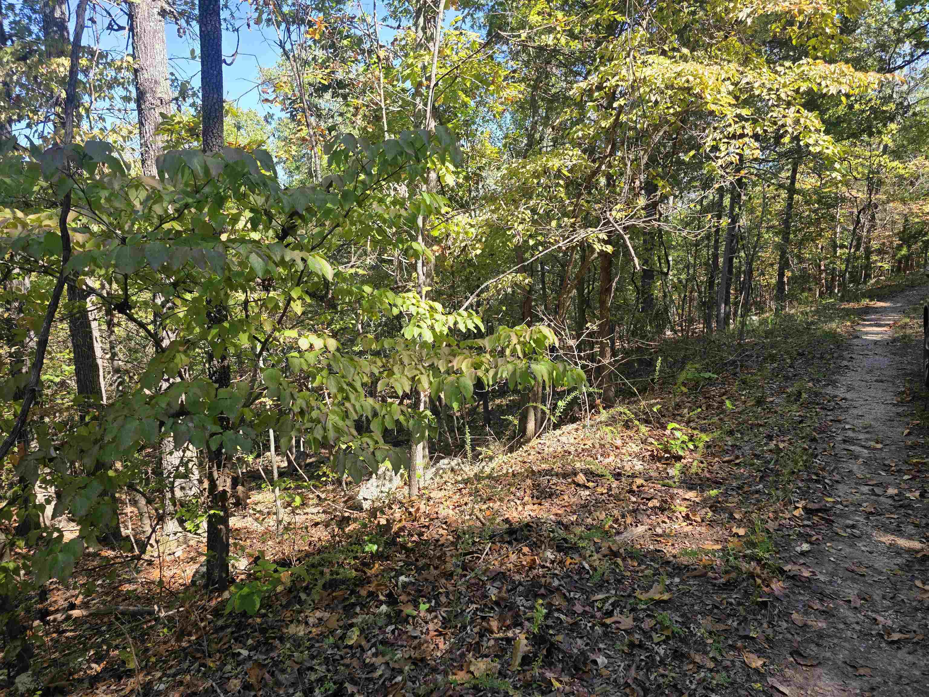 L10b4 Clatsop Circle Property Photo 14