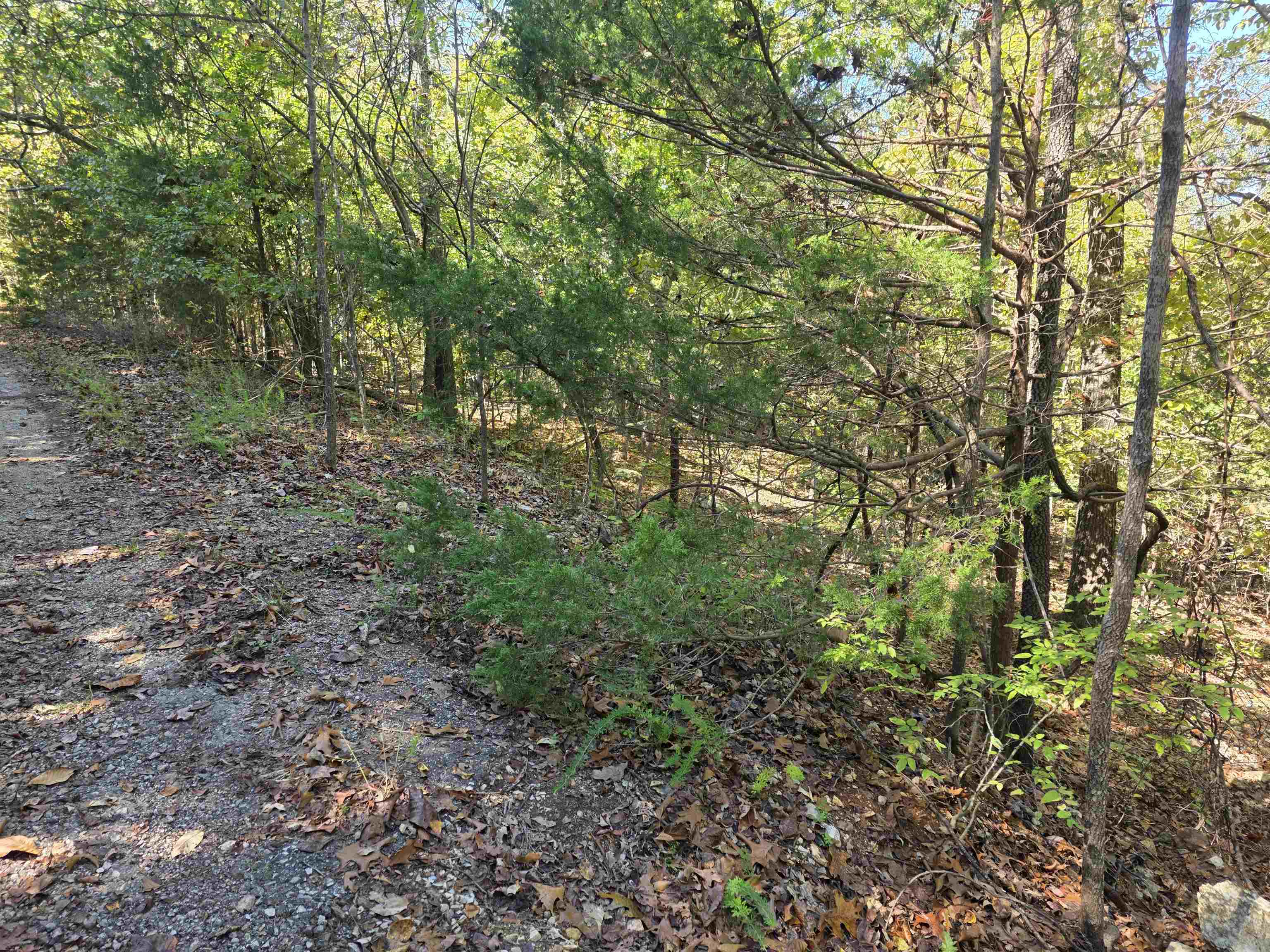 L10b4 Clatsop Circle Property Photo 15