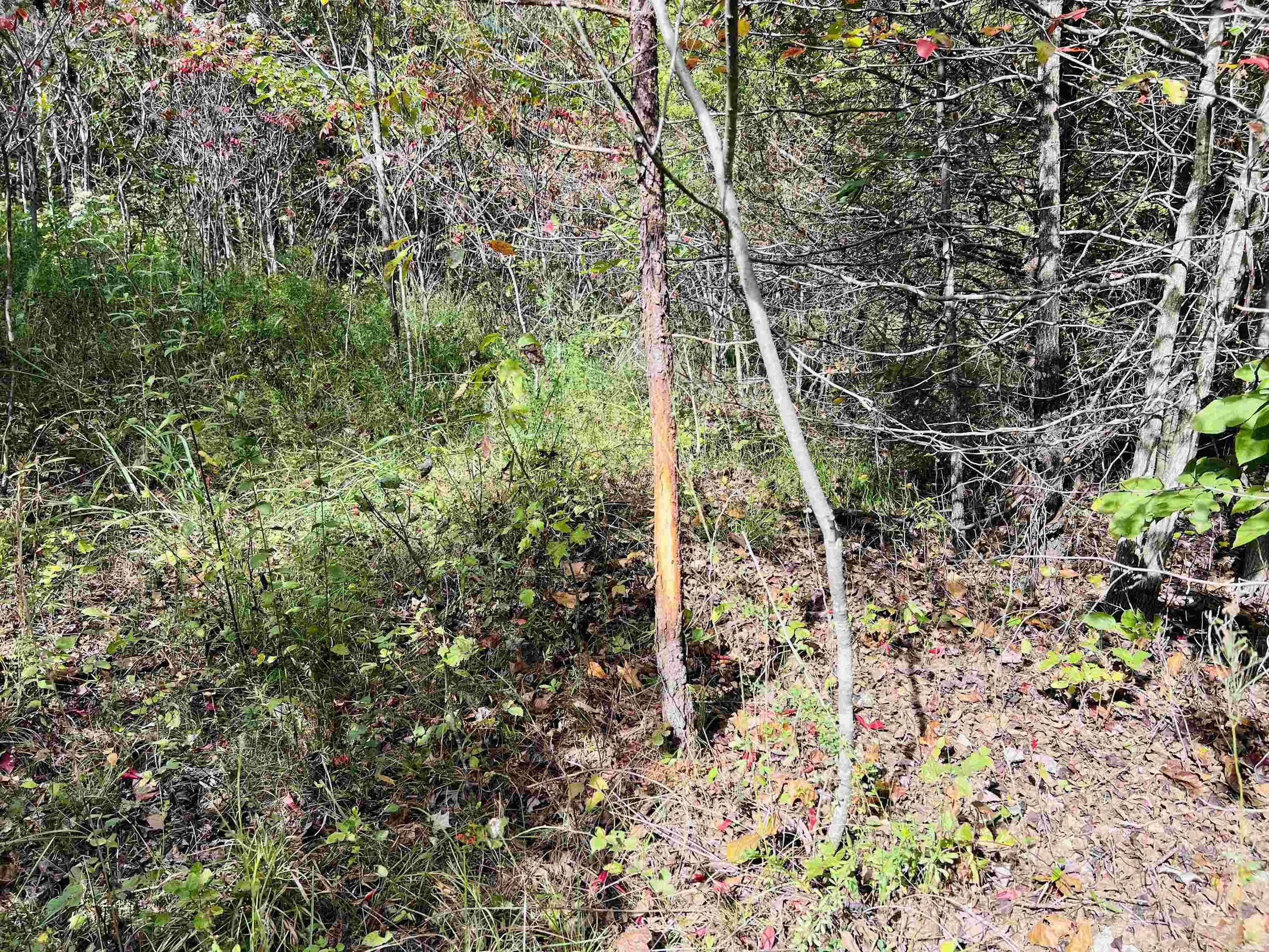 17640 S. Highway 27 Property Photo 6