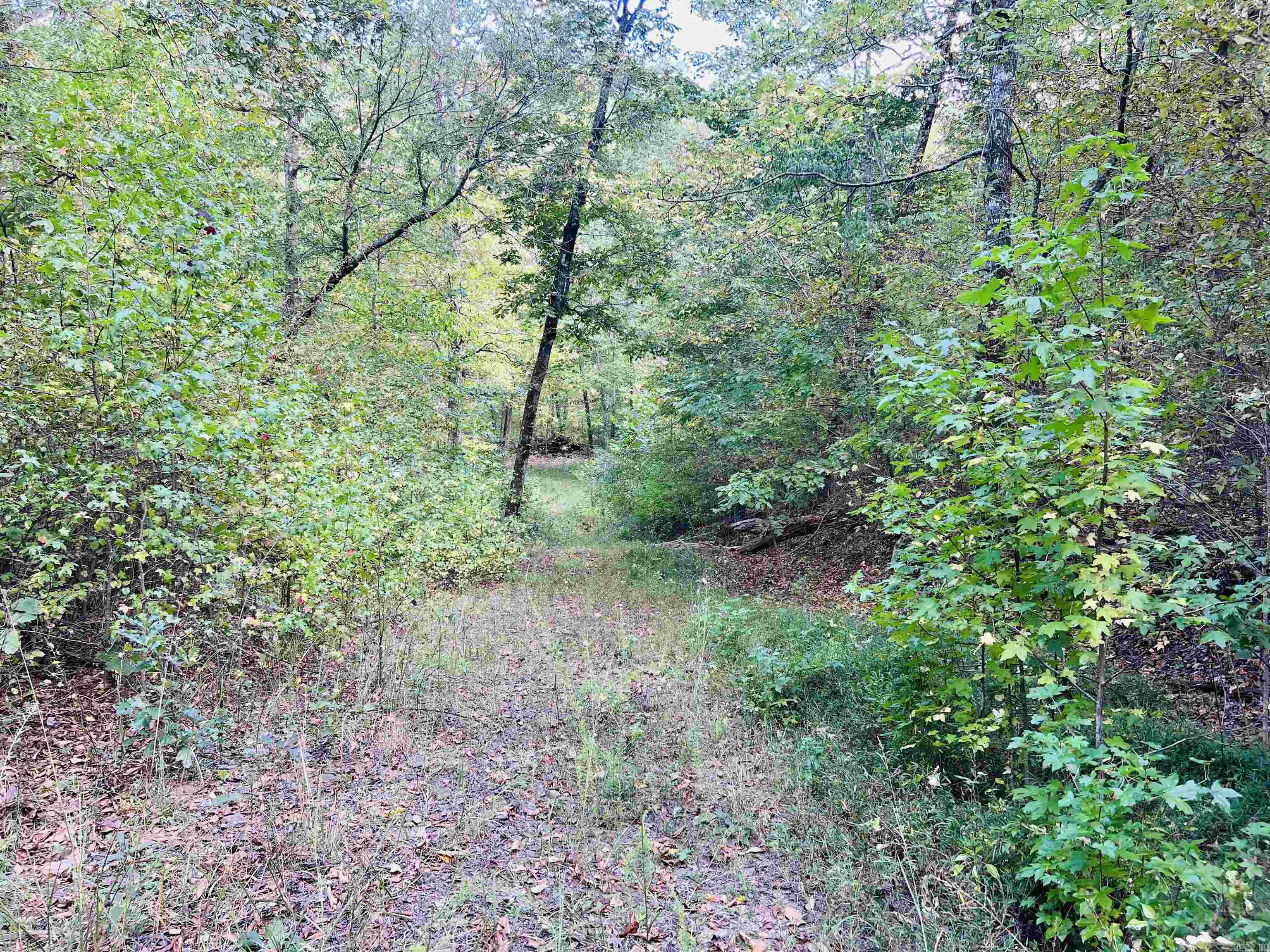 17640 S. Highway 27 Property Photo 19