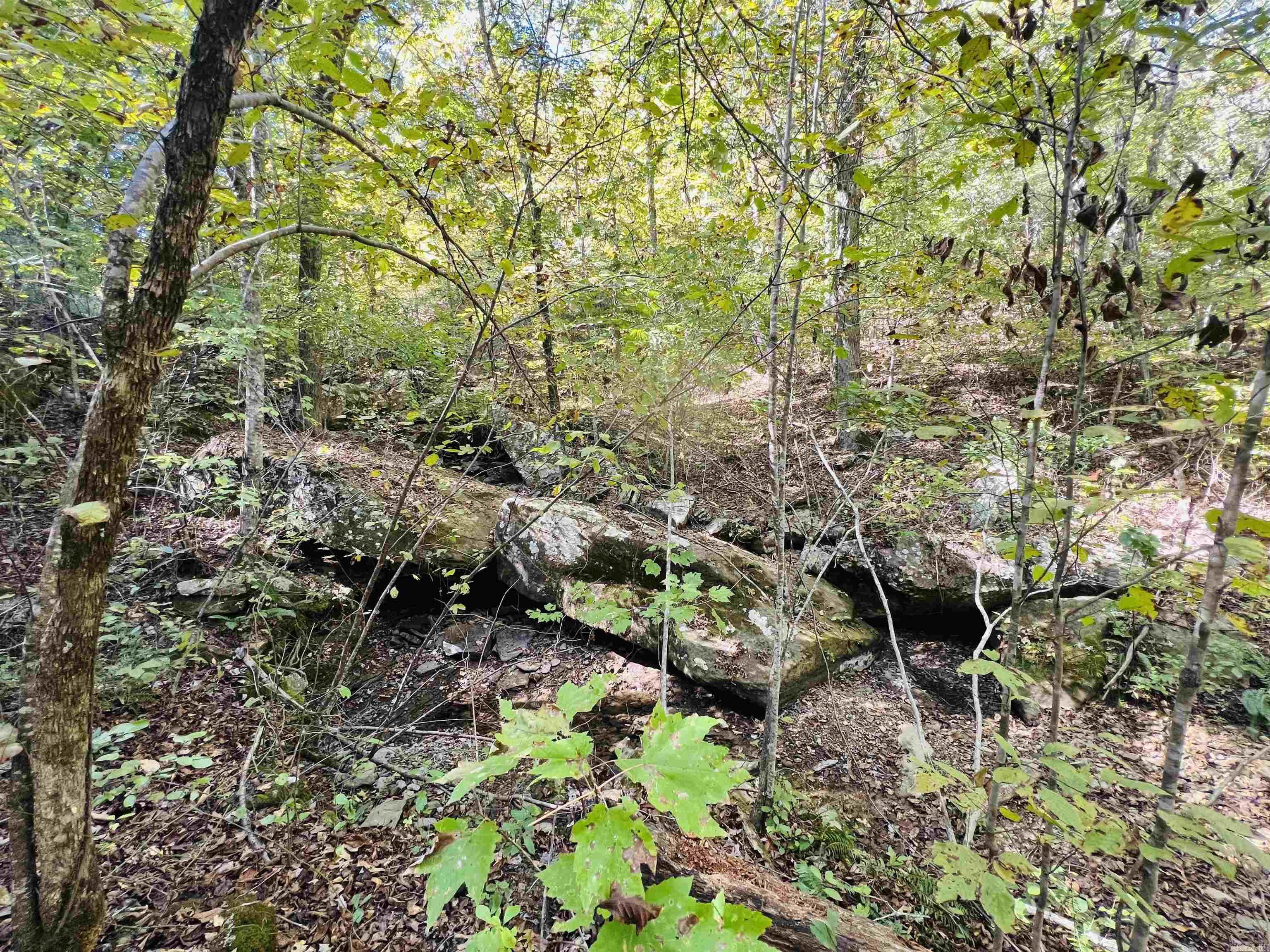 17640 S. Highway 27 Property Photo 20