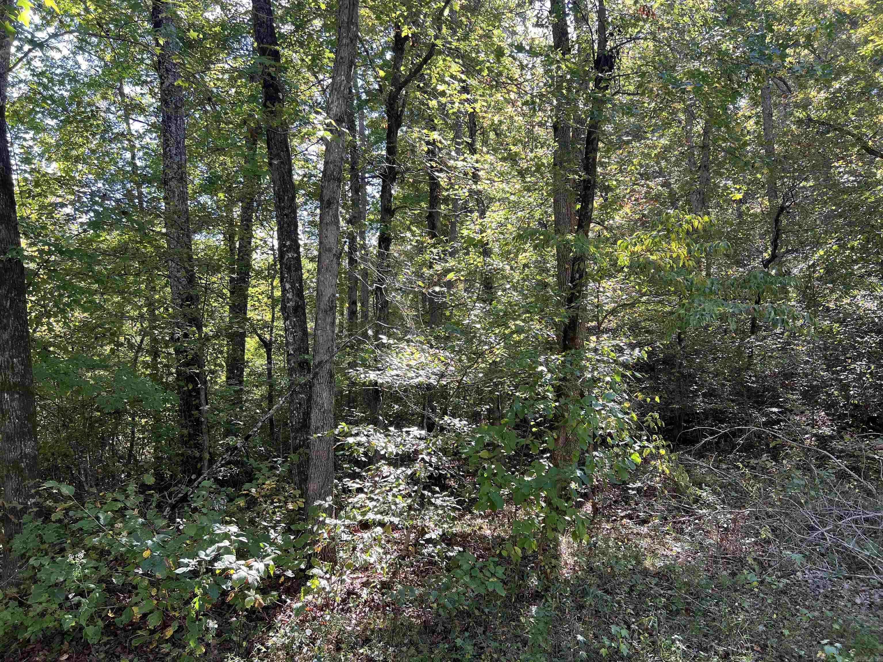 17640 S. Highway 27 Property Photo 21
