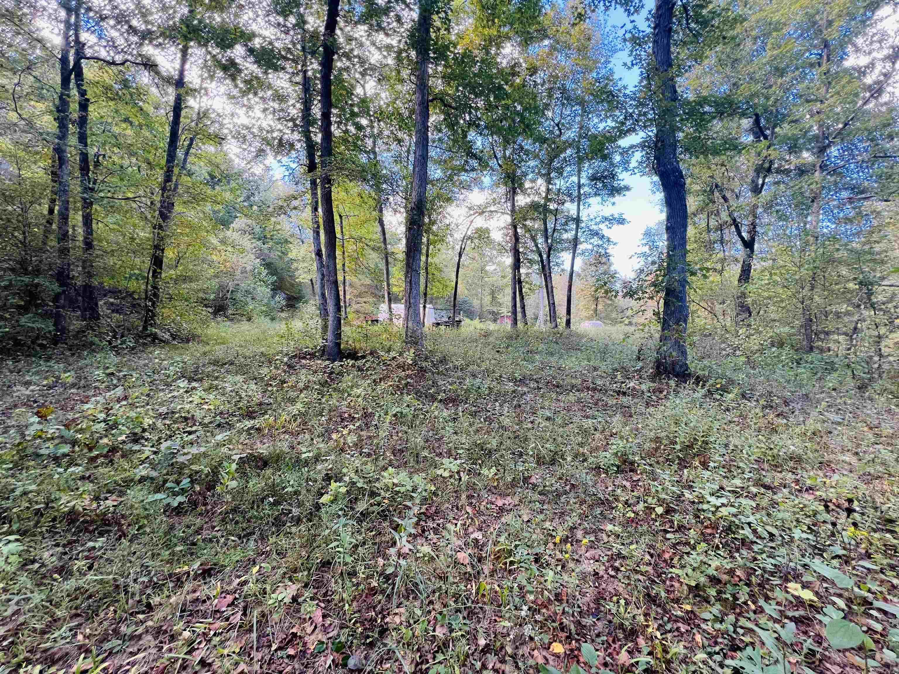 17640 S. Highway 27 Property Photo 28
