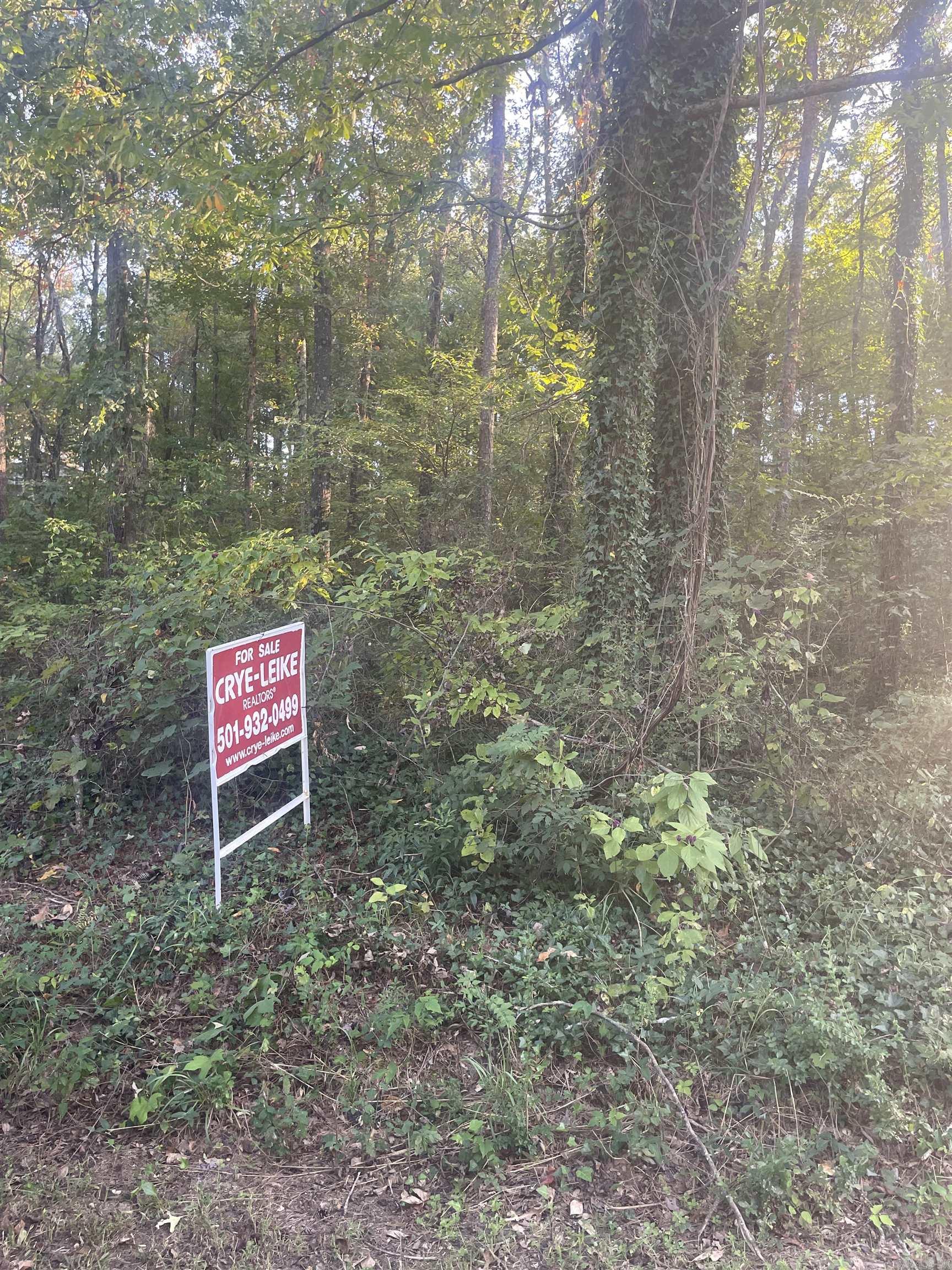 Lot 9,10,11,28 Ridge Rd Property Photo 2