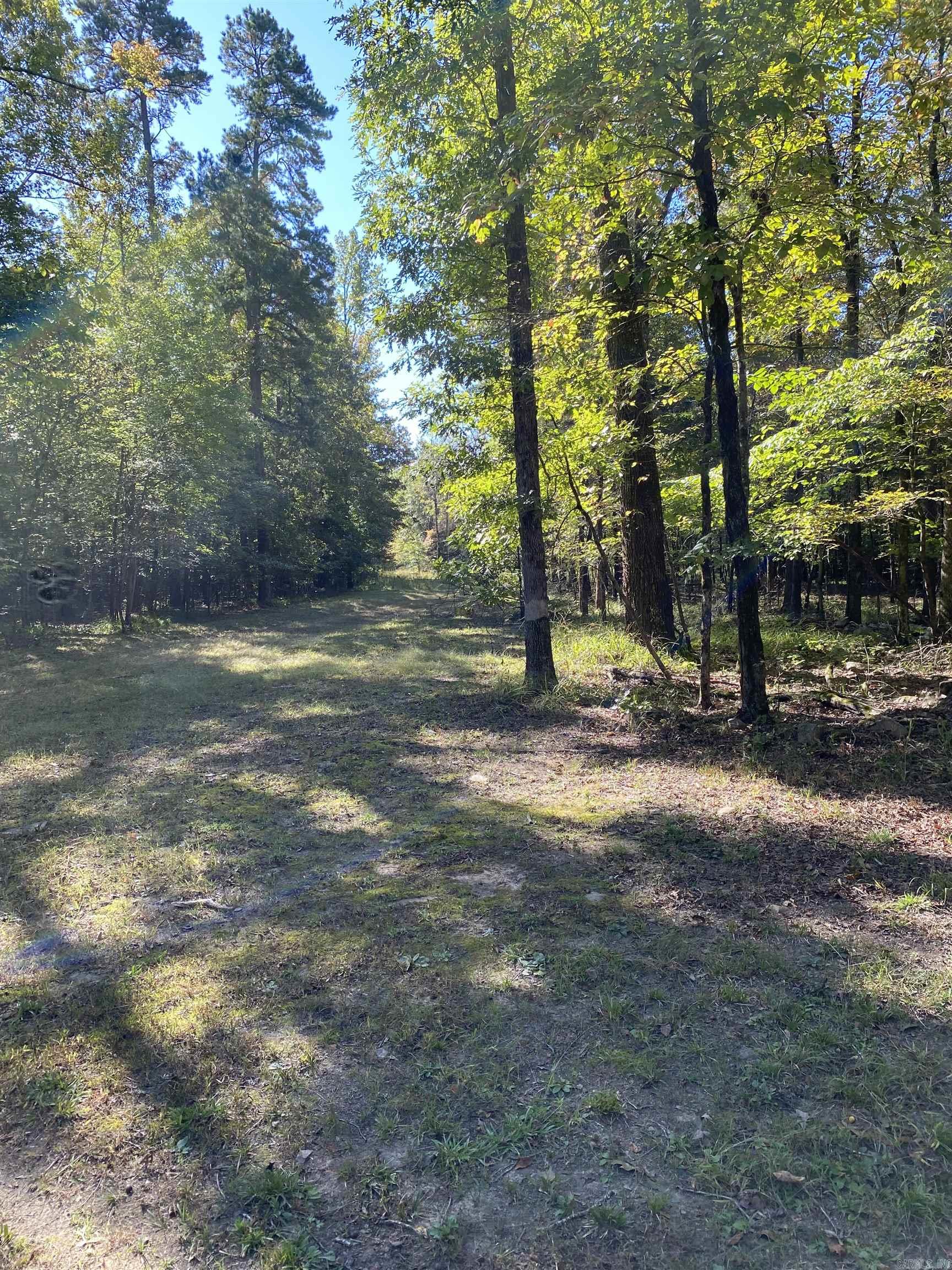 110 Hummingbird Lane Property Photo 8
