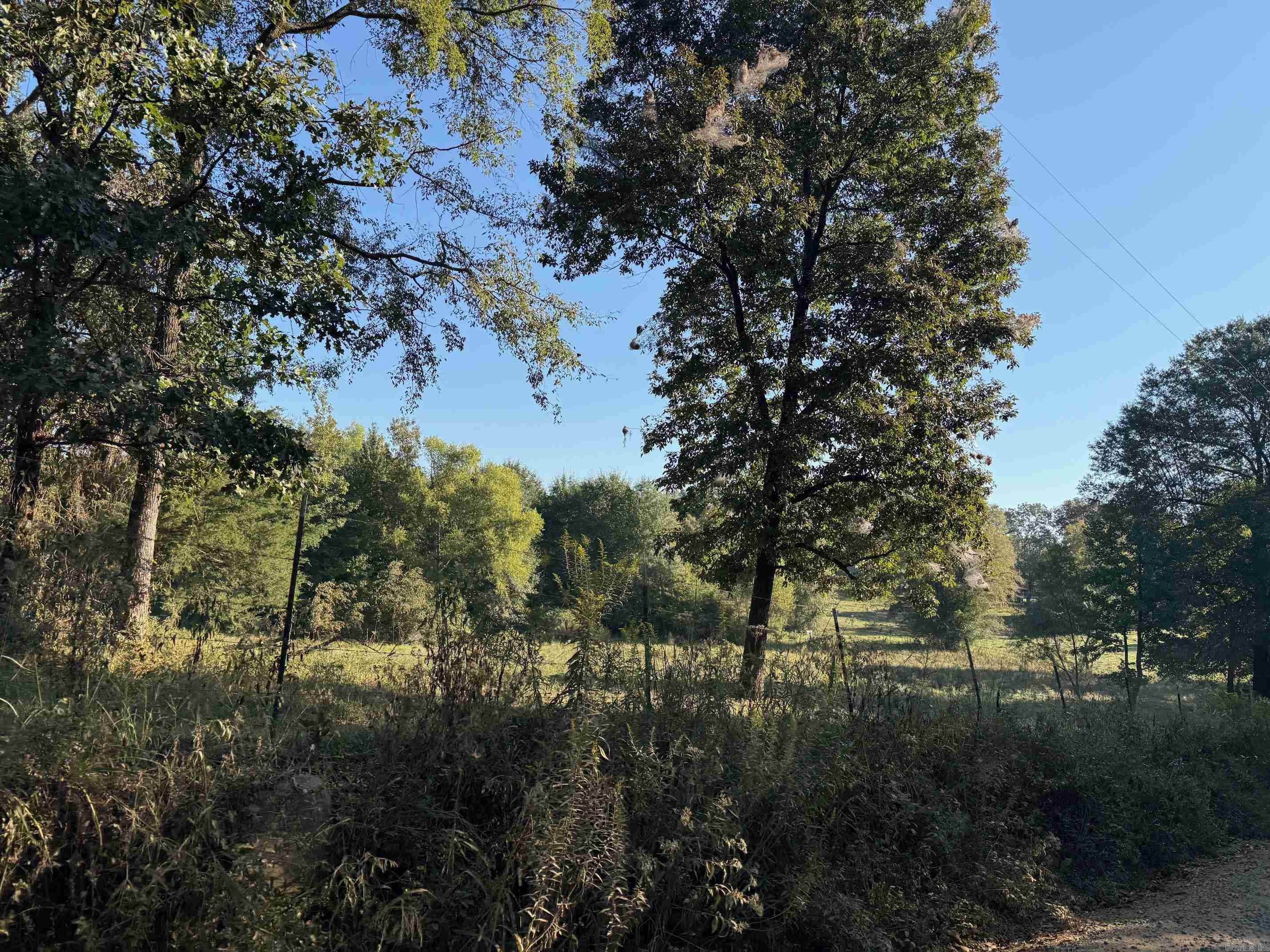 Tbd Polk Road 19 Property Photo 1