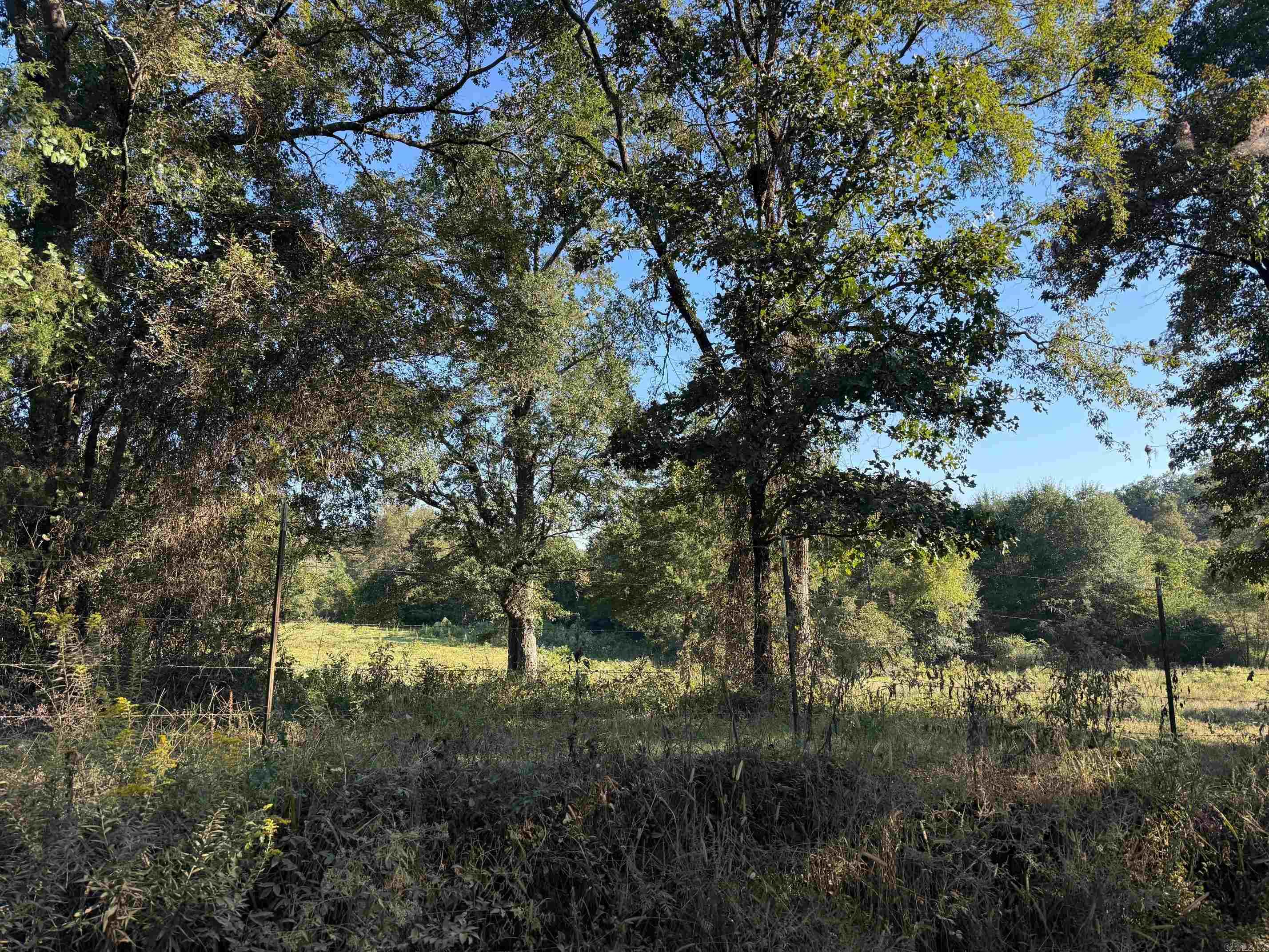 Tbd Polk Road 19 Property Photo 4