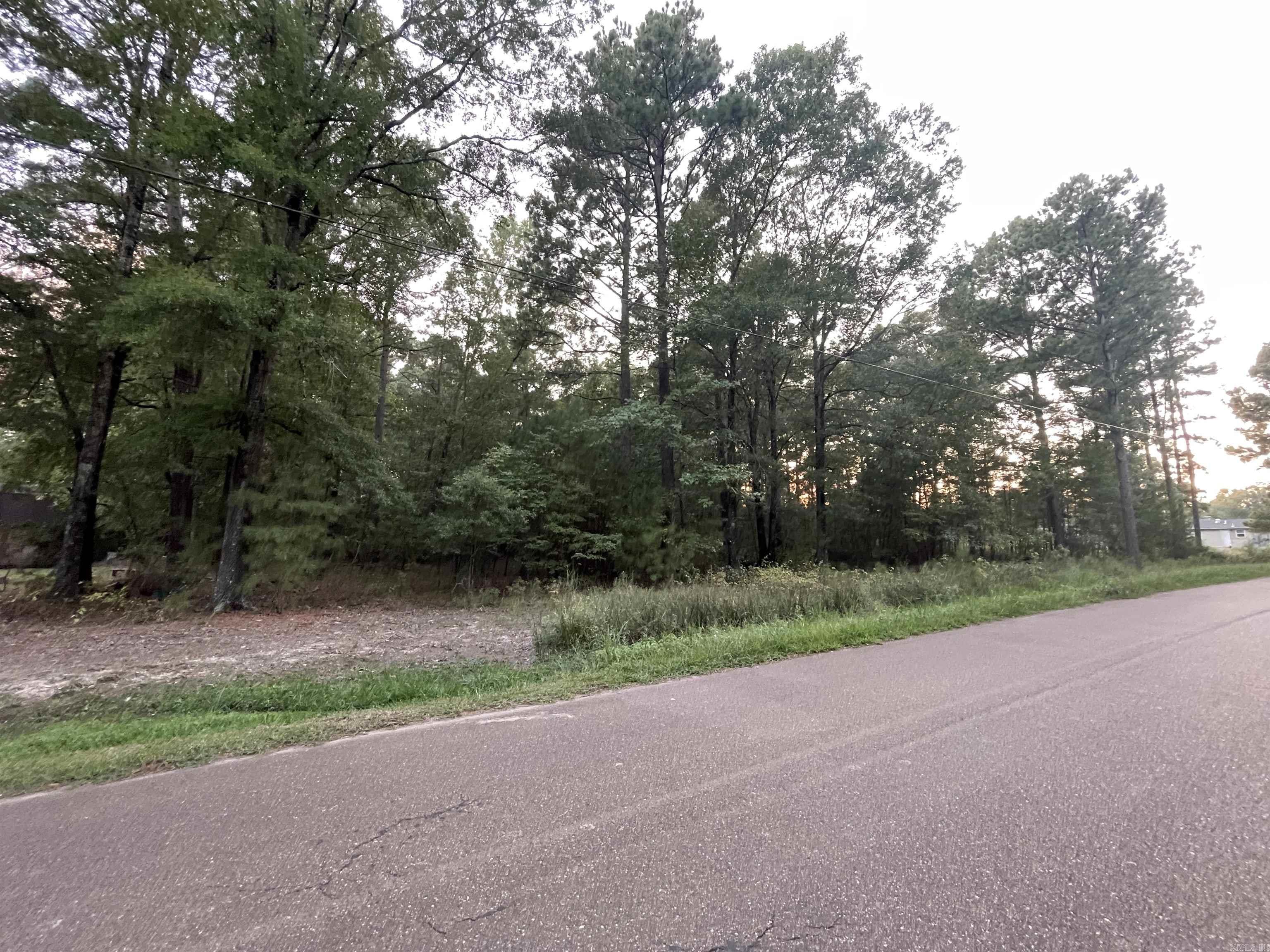 2.69 Acres Ouachita 210 Property Photo 4