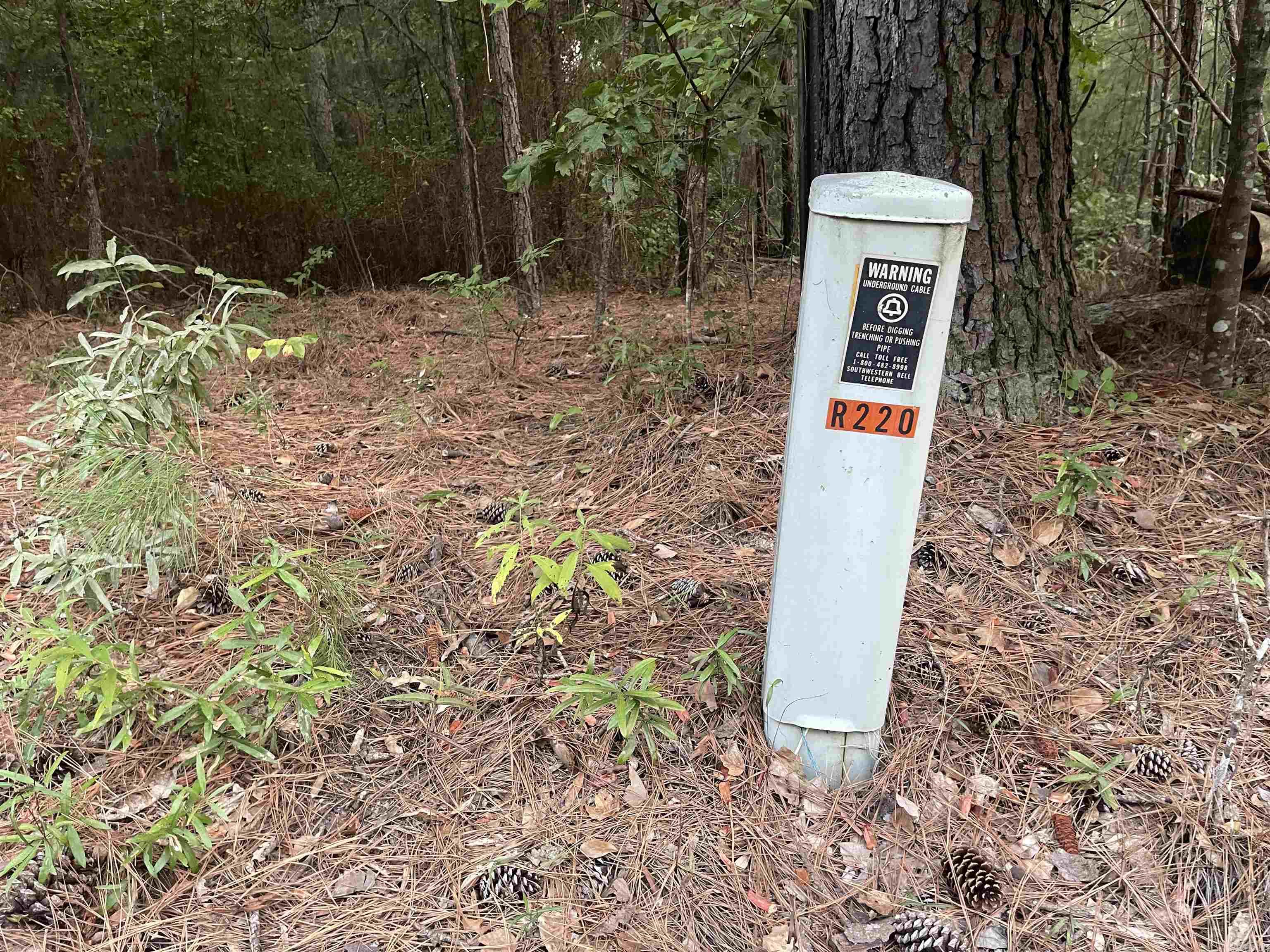 2.69 Acres Ouachita 210 Property Photo 5