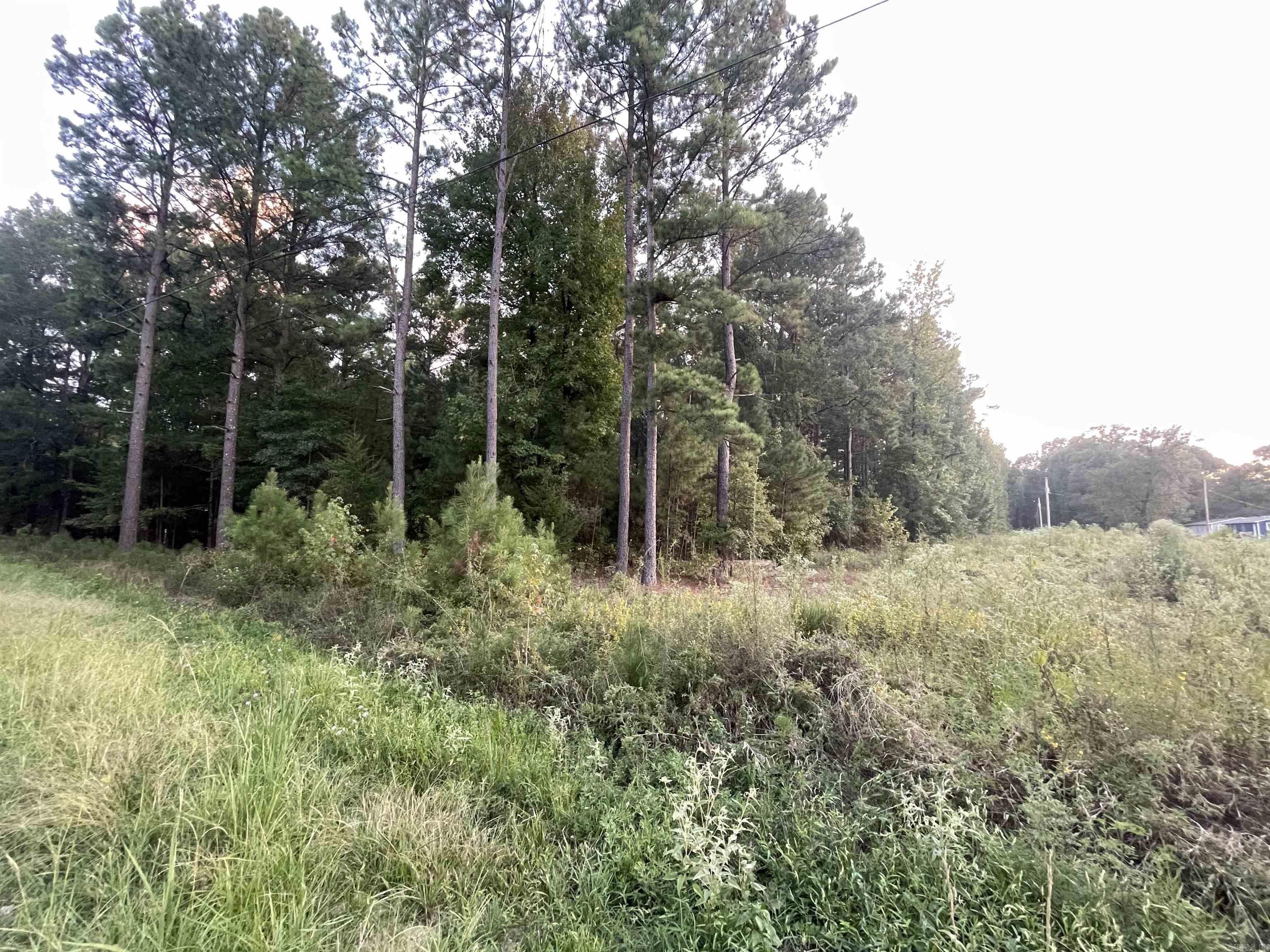 2.69 Acres Ouachita 210 Property Photo 6