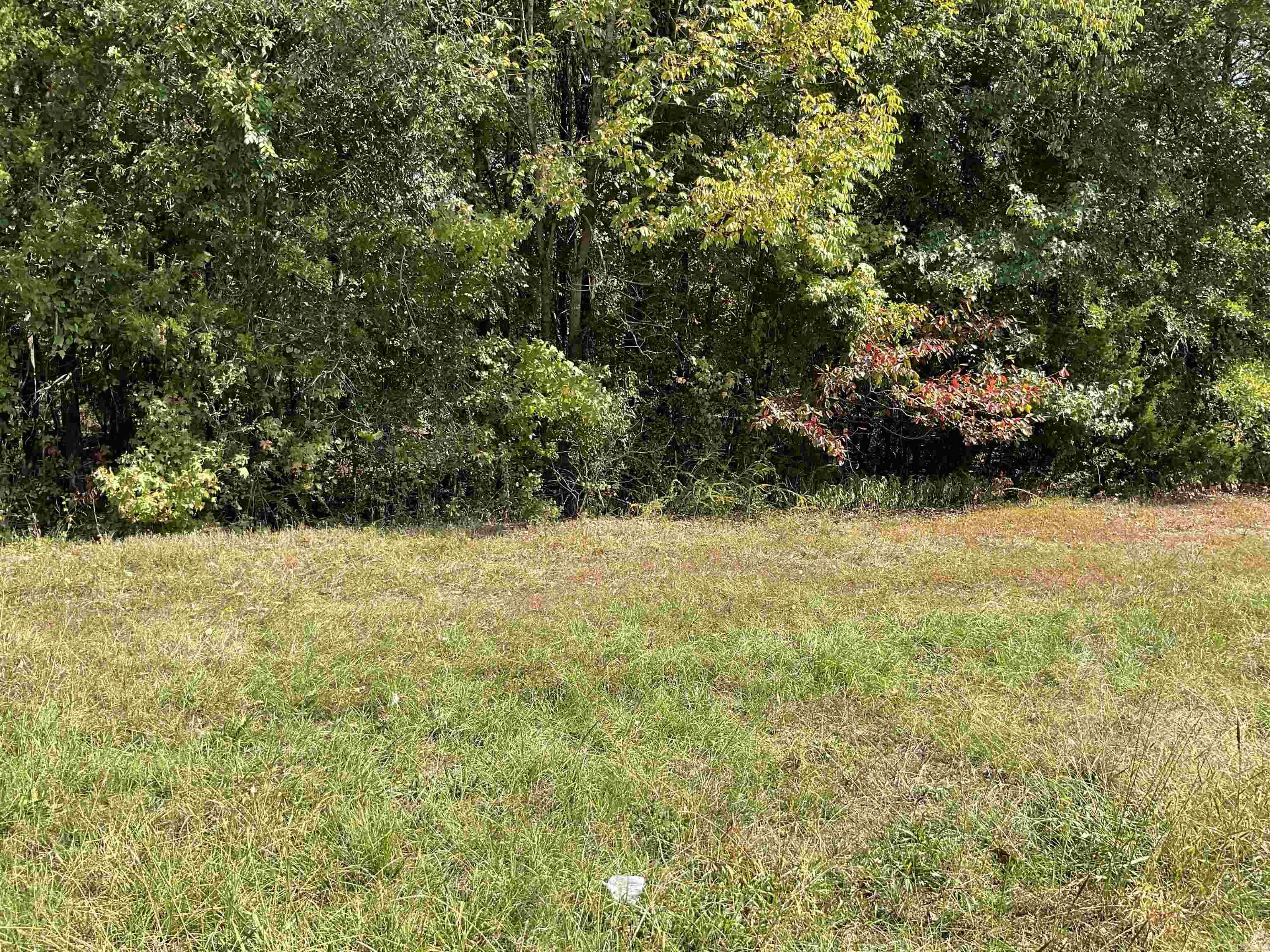 00 Hwy 65 Property Photo 3
